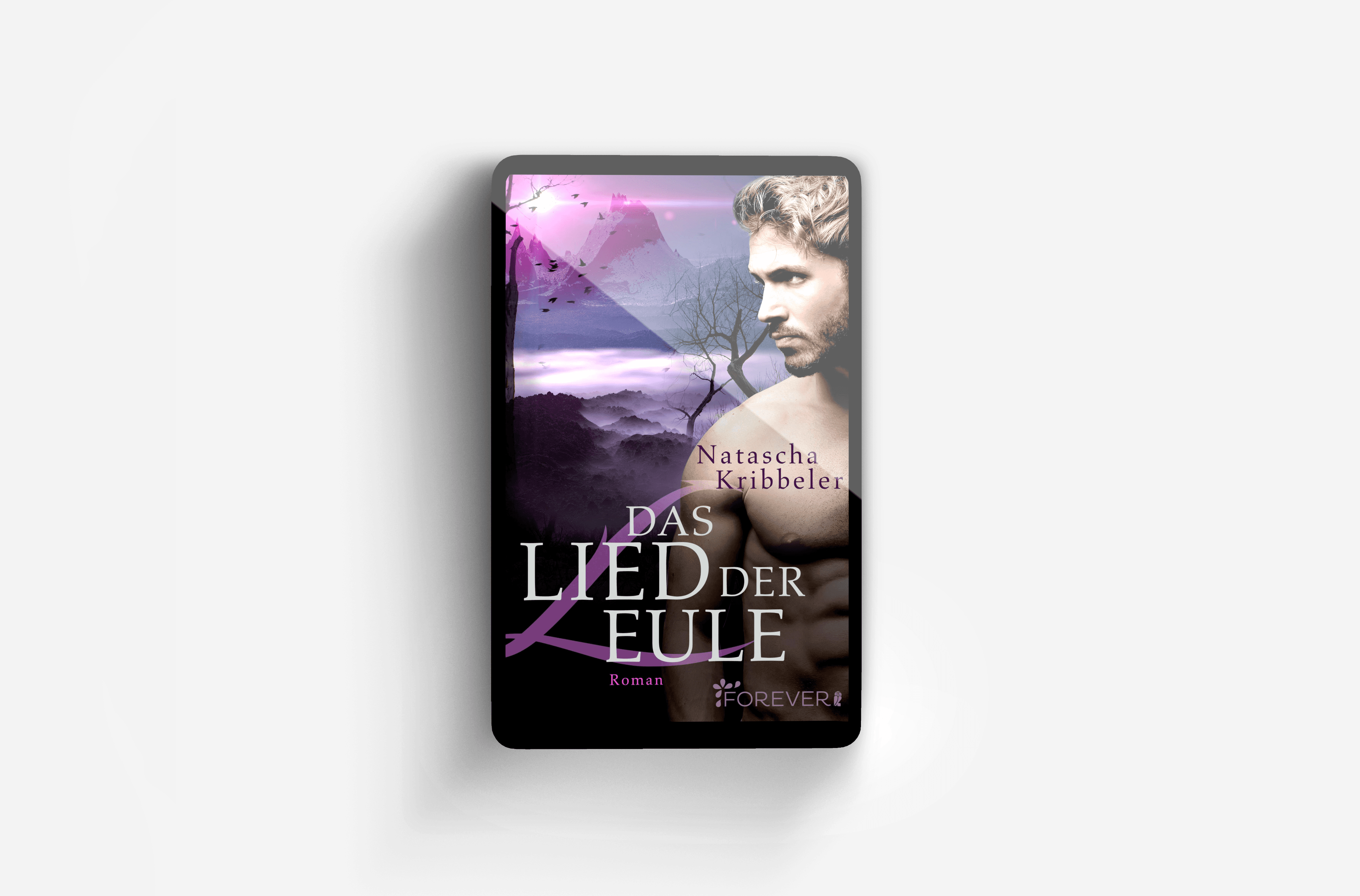 Buchcover von Das Lied der Eule (Jandor der Vampir 4)