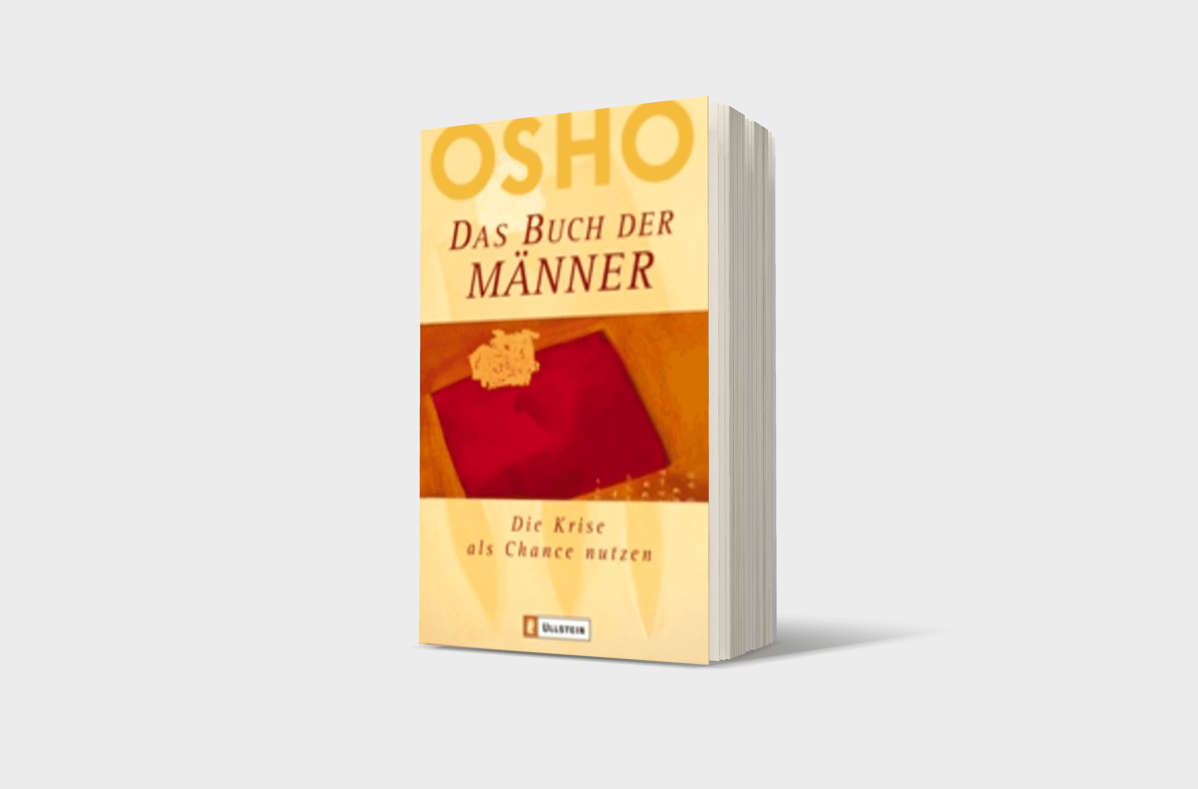 Buchcover von Das Buch der Männer