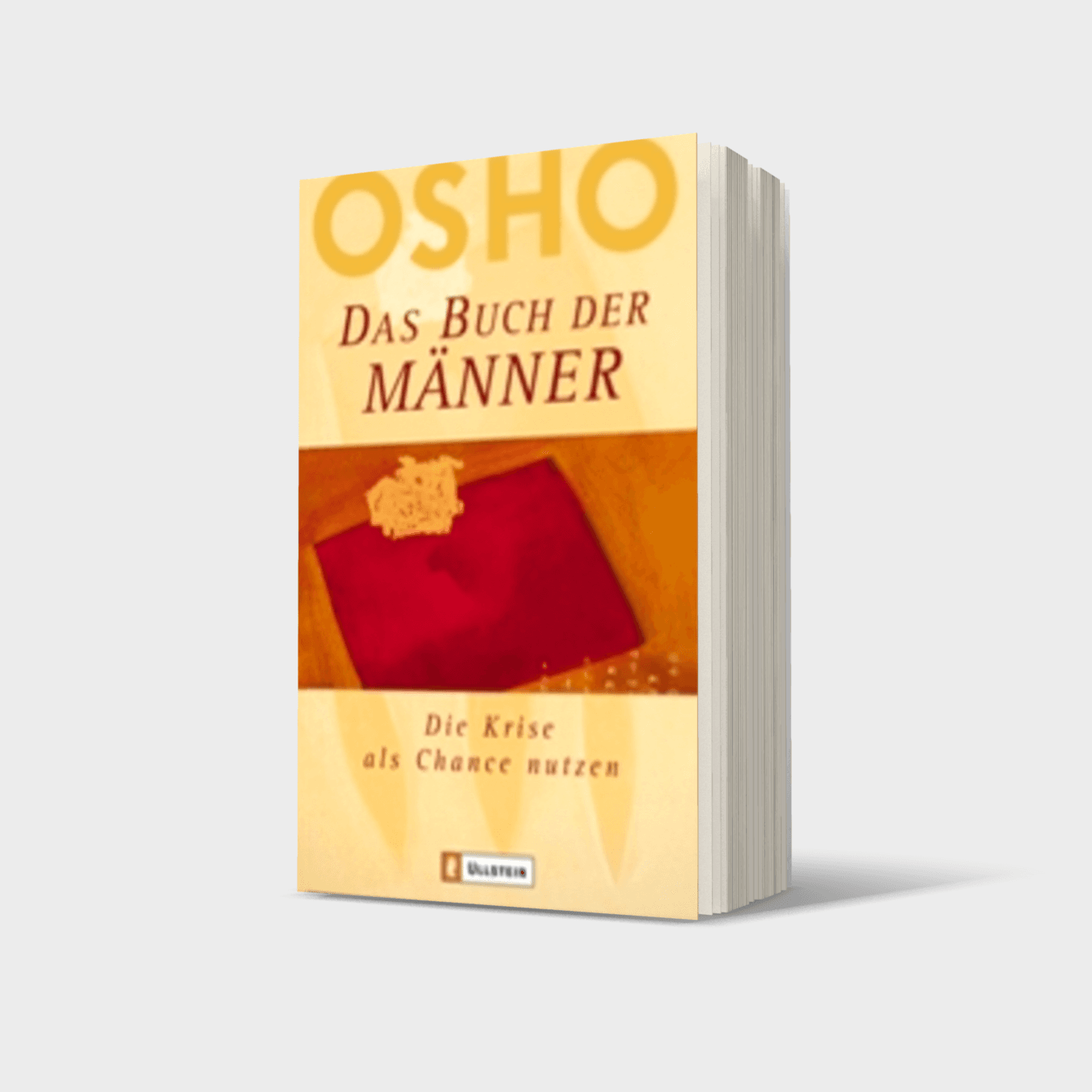 Buchcover von Das Buch der Männer