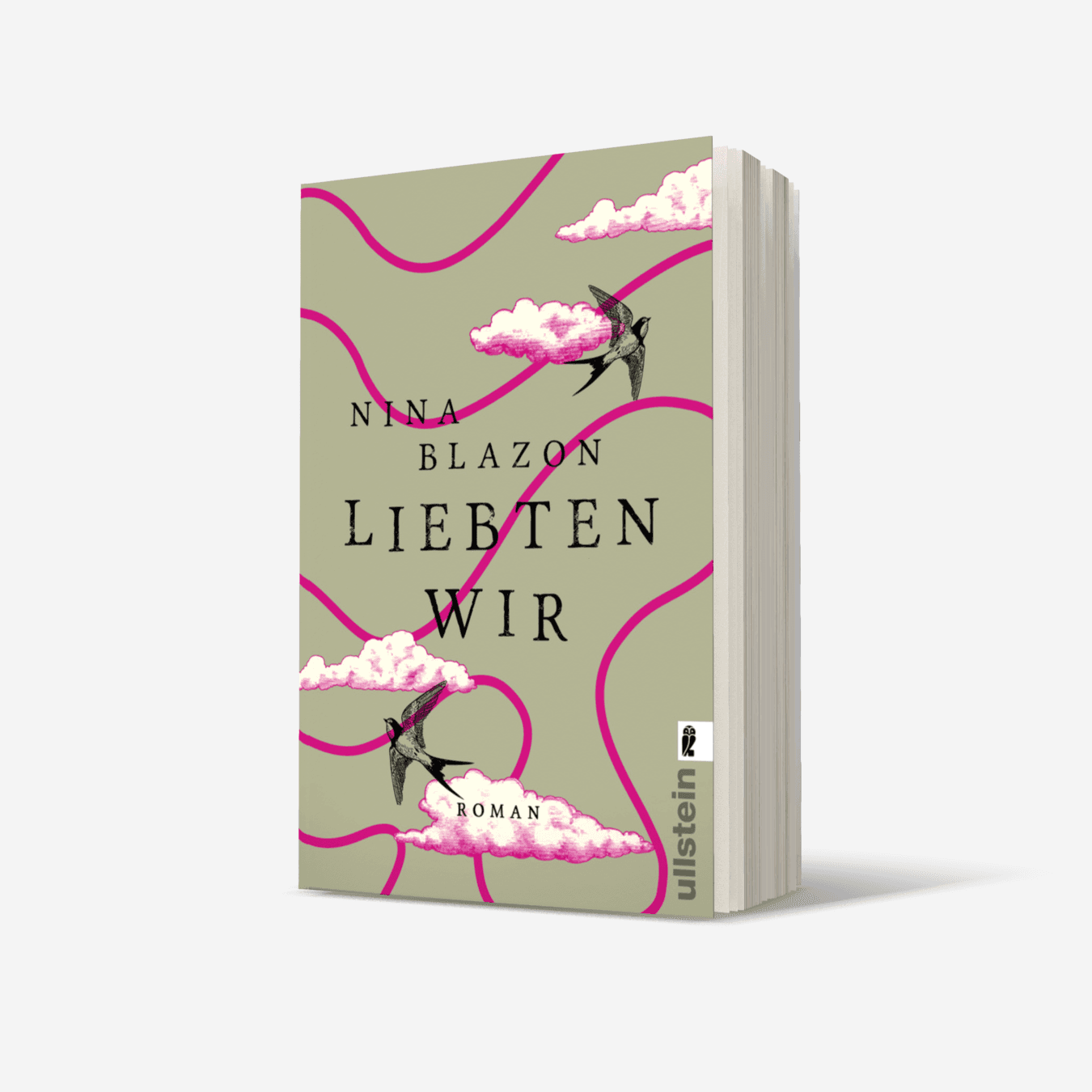 Buchcover von Liebten wir