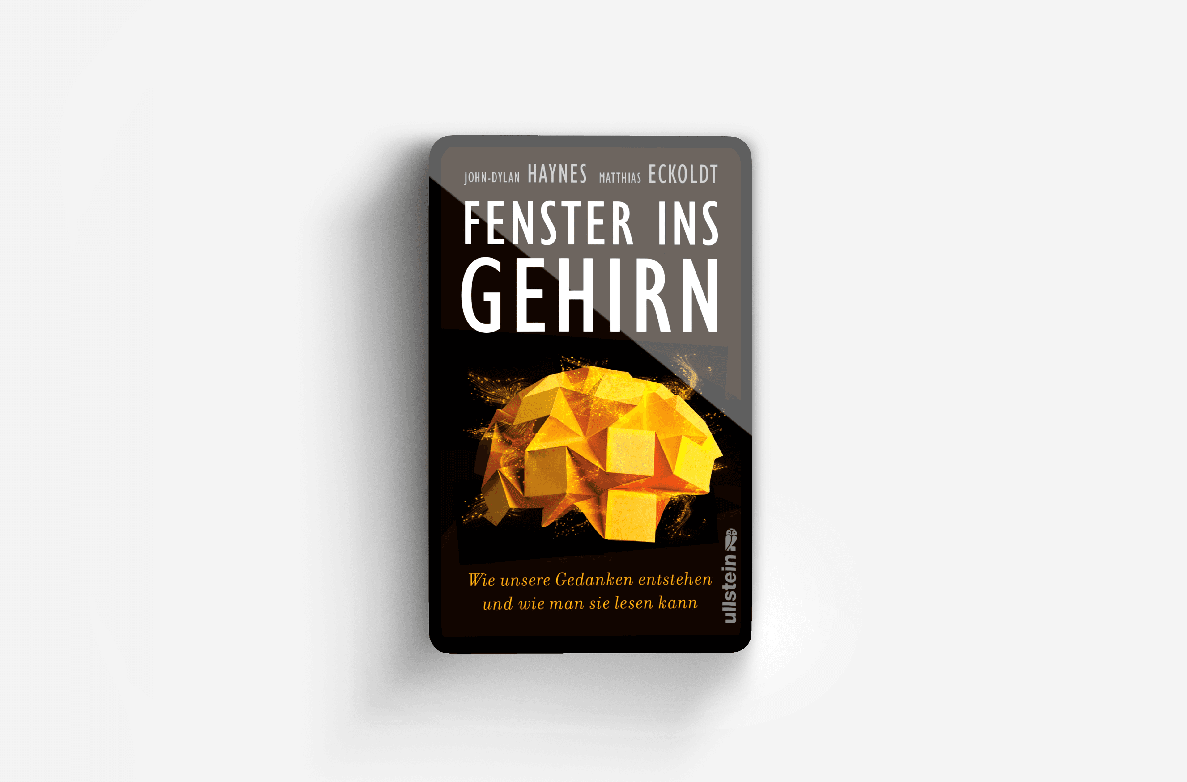 Buchcover von Fenster ins Gehirn