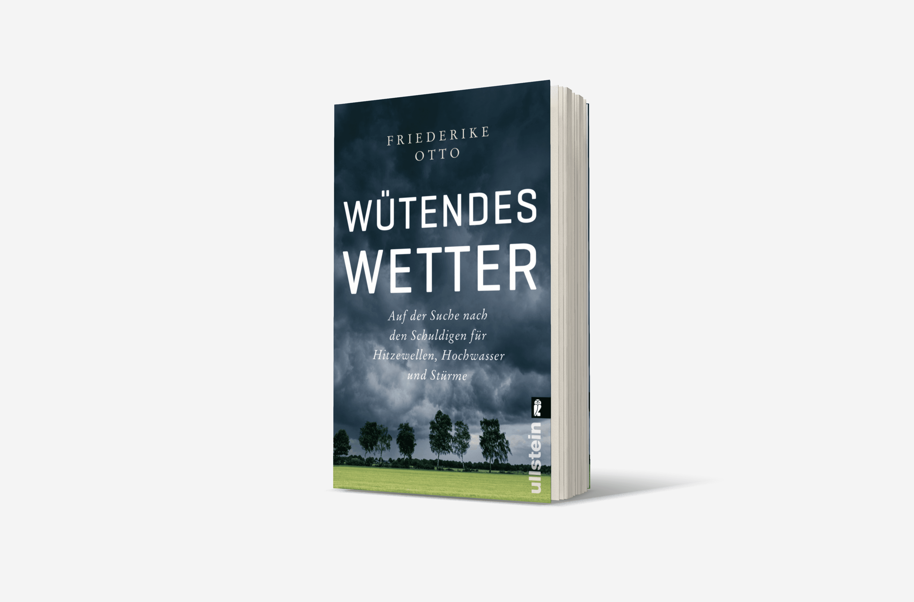 Buchcover von Wütendes Wetter