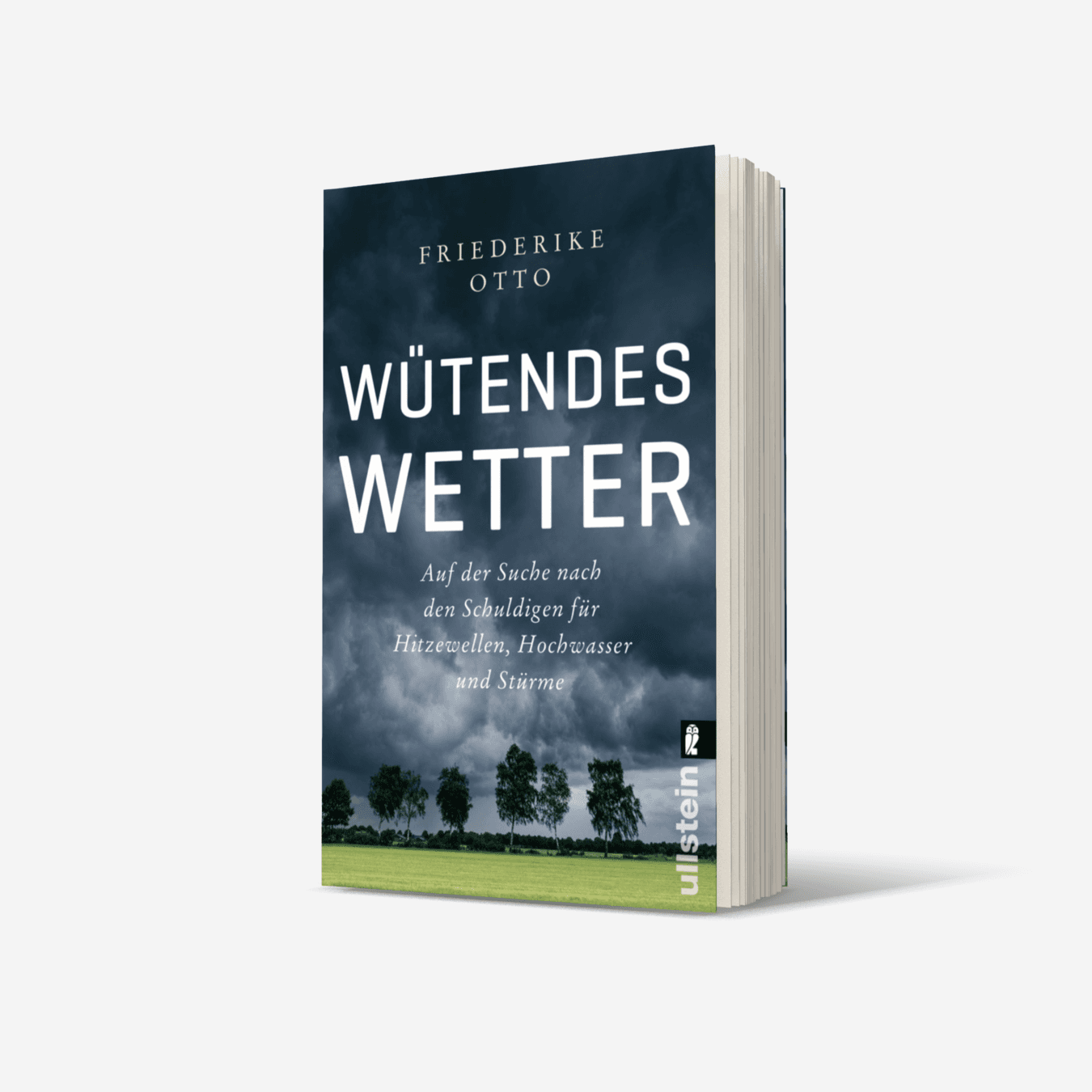 Buchcover von Wütendes Wetter