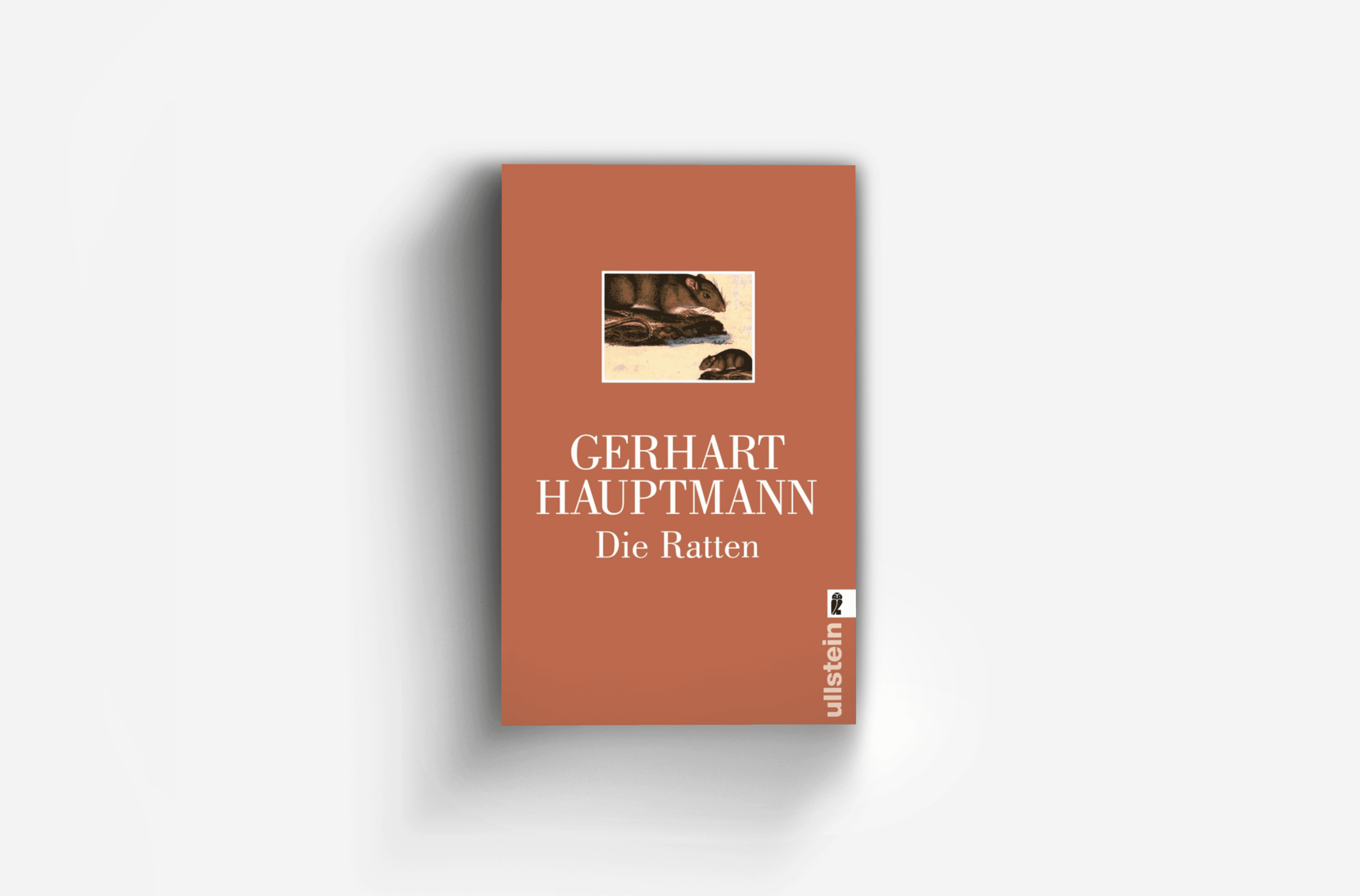 Buchcover von Die Ratten