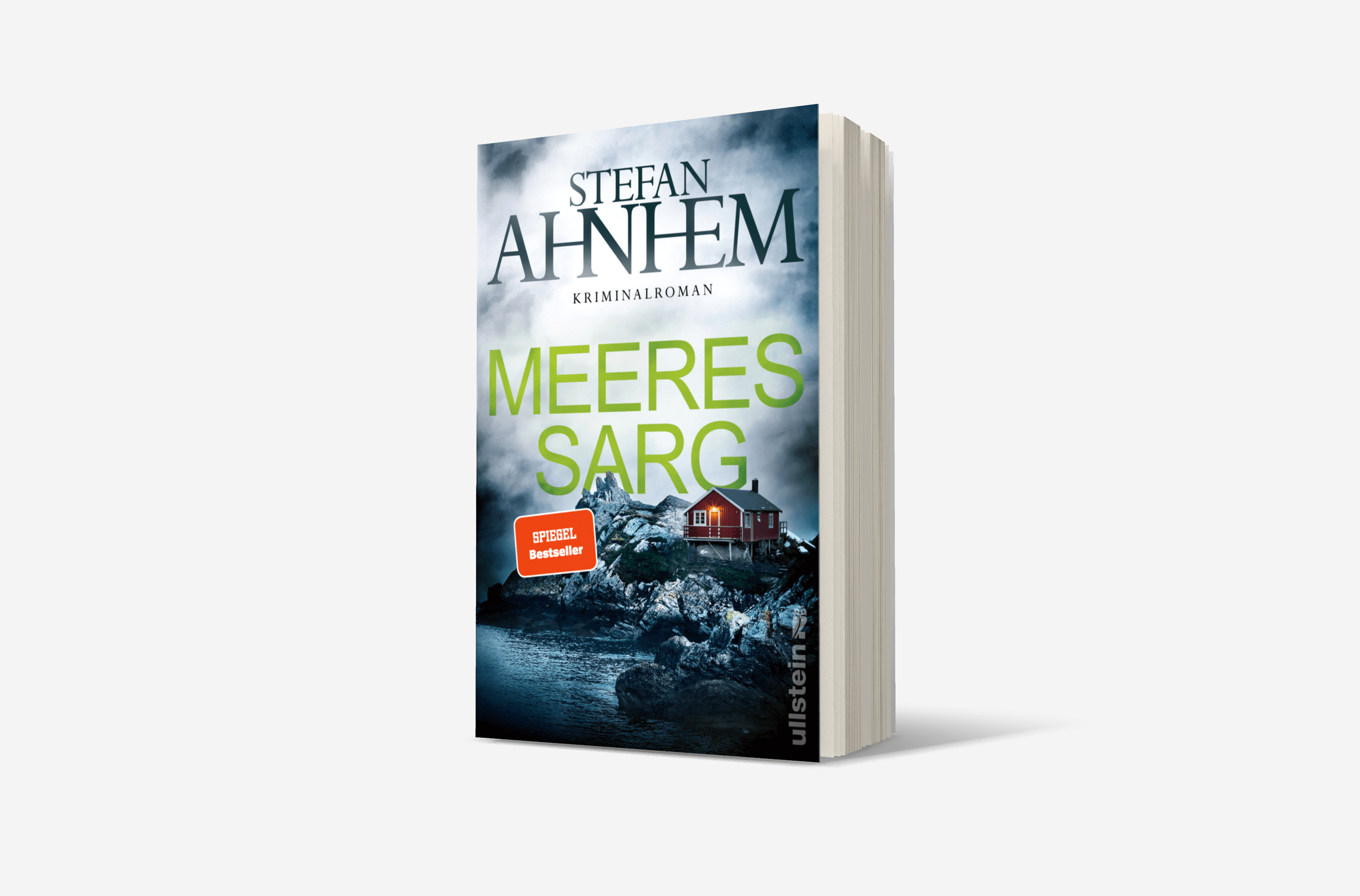 Buchcover von Meeressarg (Ein Fabian-Risk-Krimi 6)