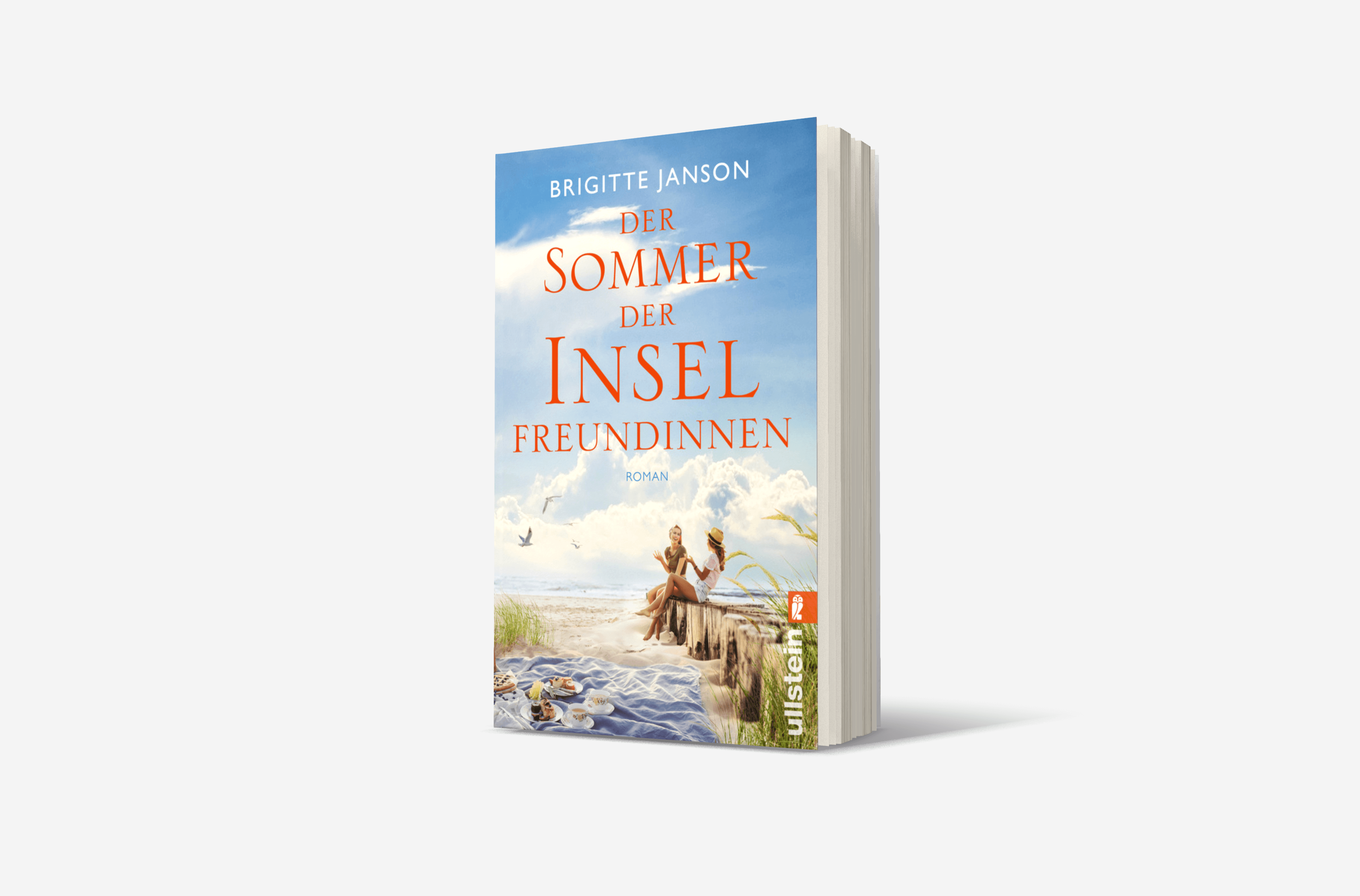 Buchcover von Der Sommer der Inselfreundinnen