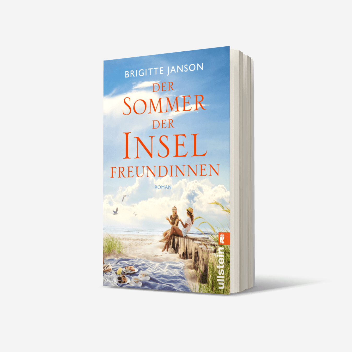 Buchcover von Der Sommer der Inselfreundinnen