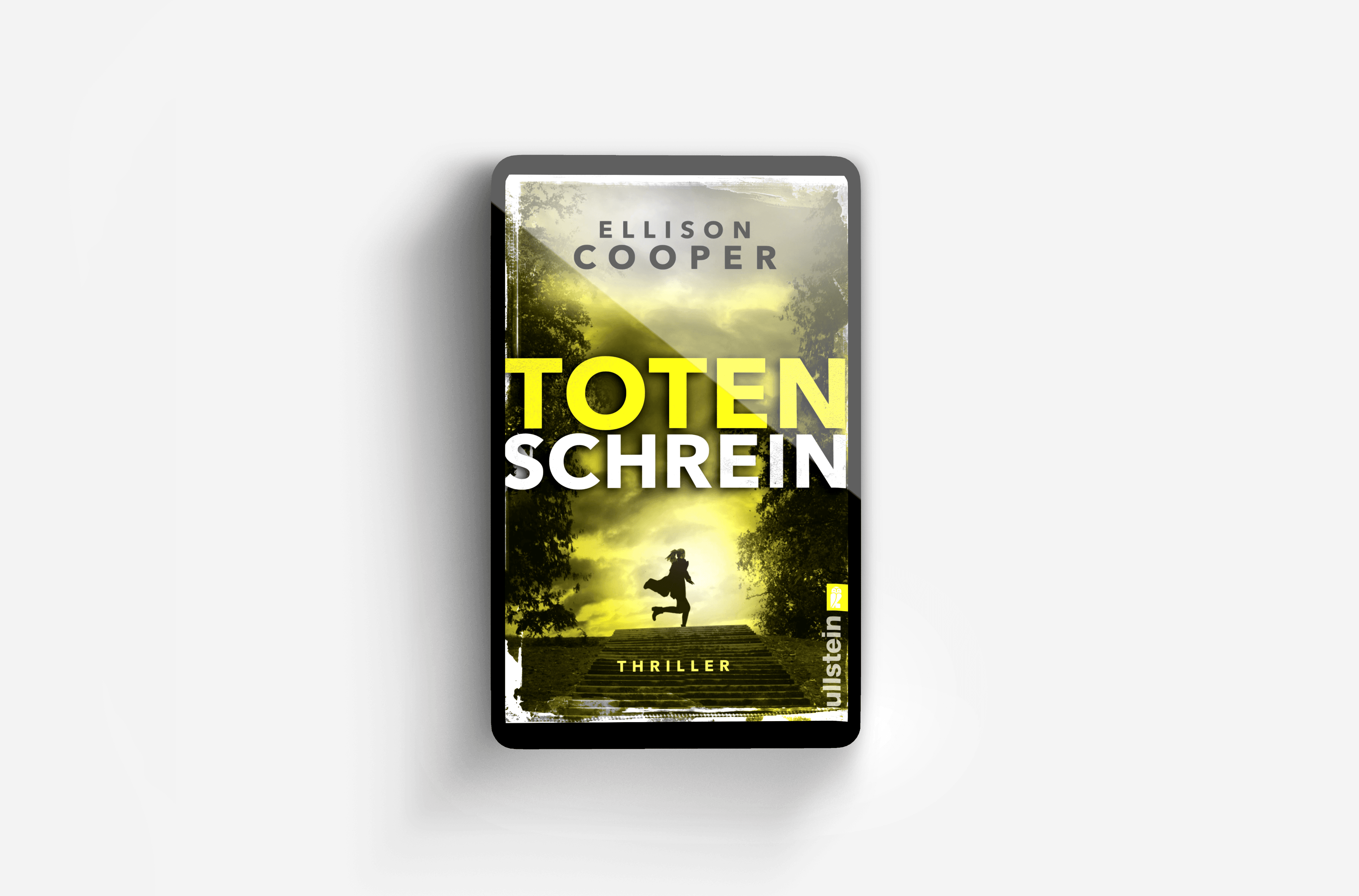 Buchcover von Totenschrein (Ein Sayer-Altair-Thriller 3)