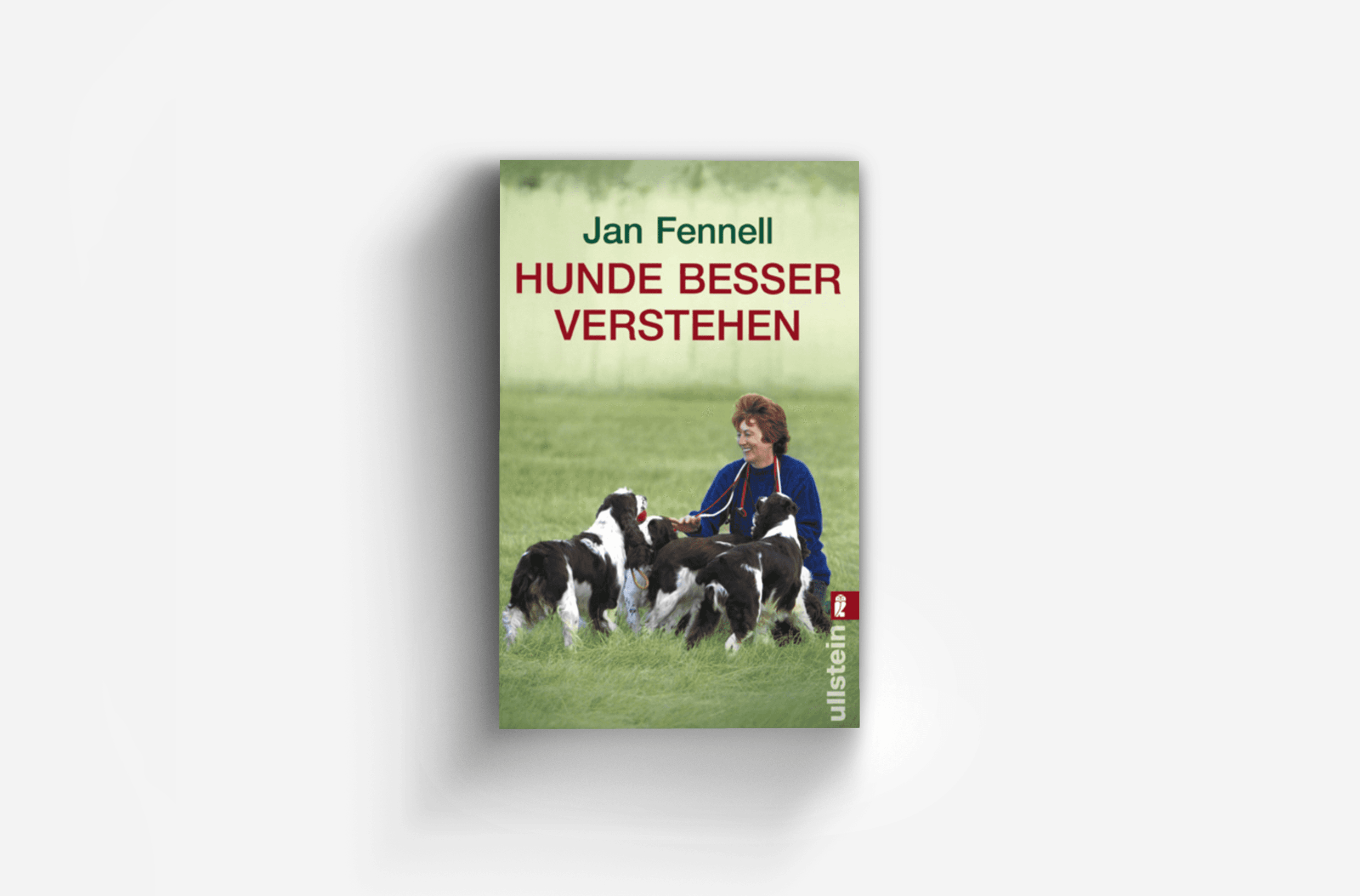 Buchcover von Hunde besser verstehen