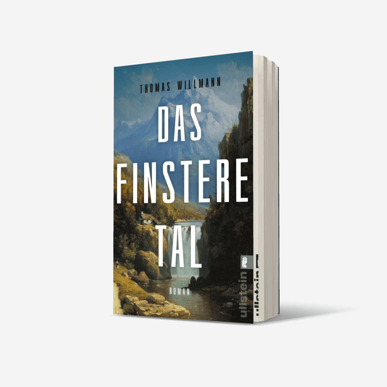 Buchcover von Das finstere Tal