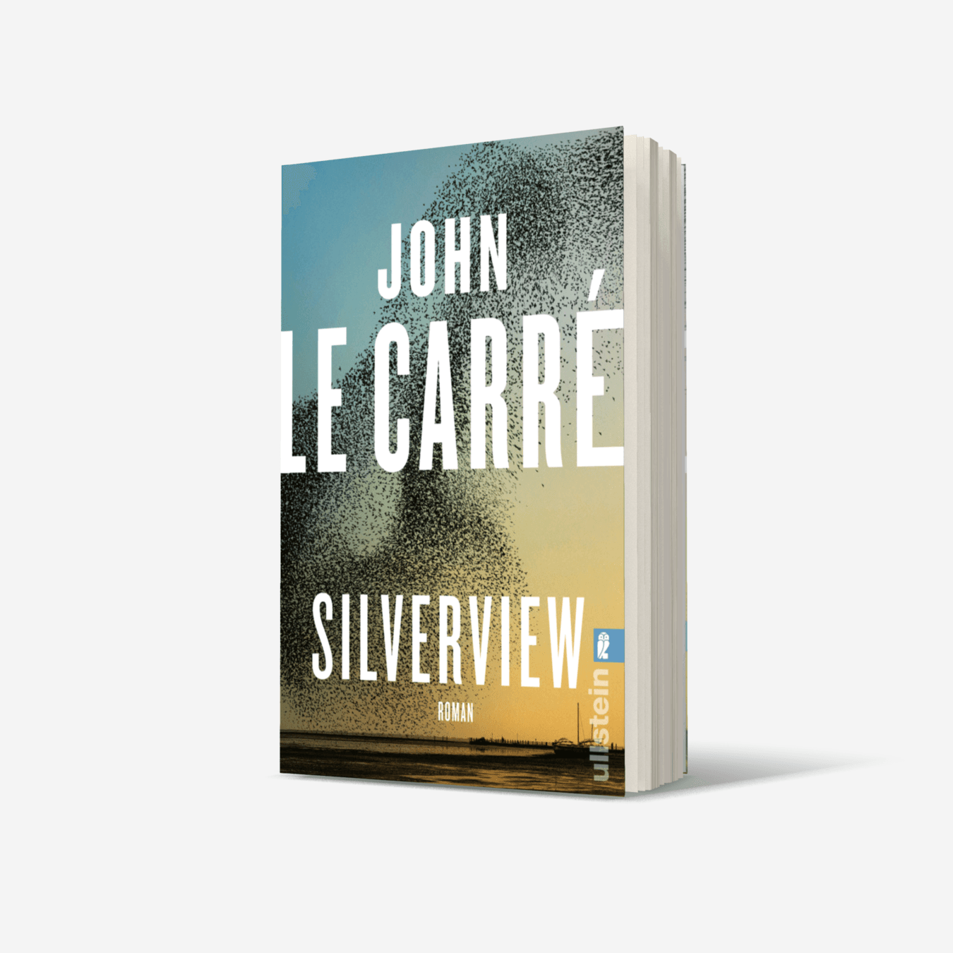 Buchcover von Silverview