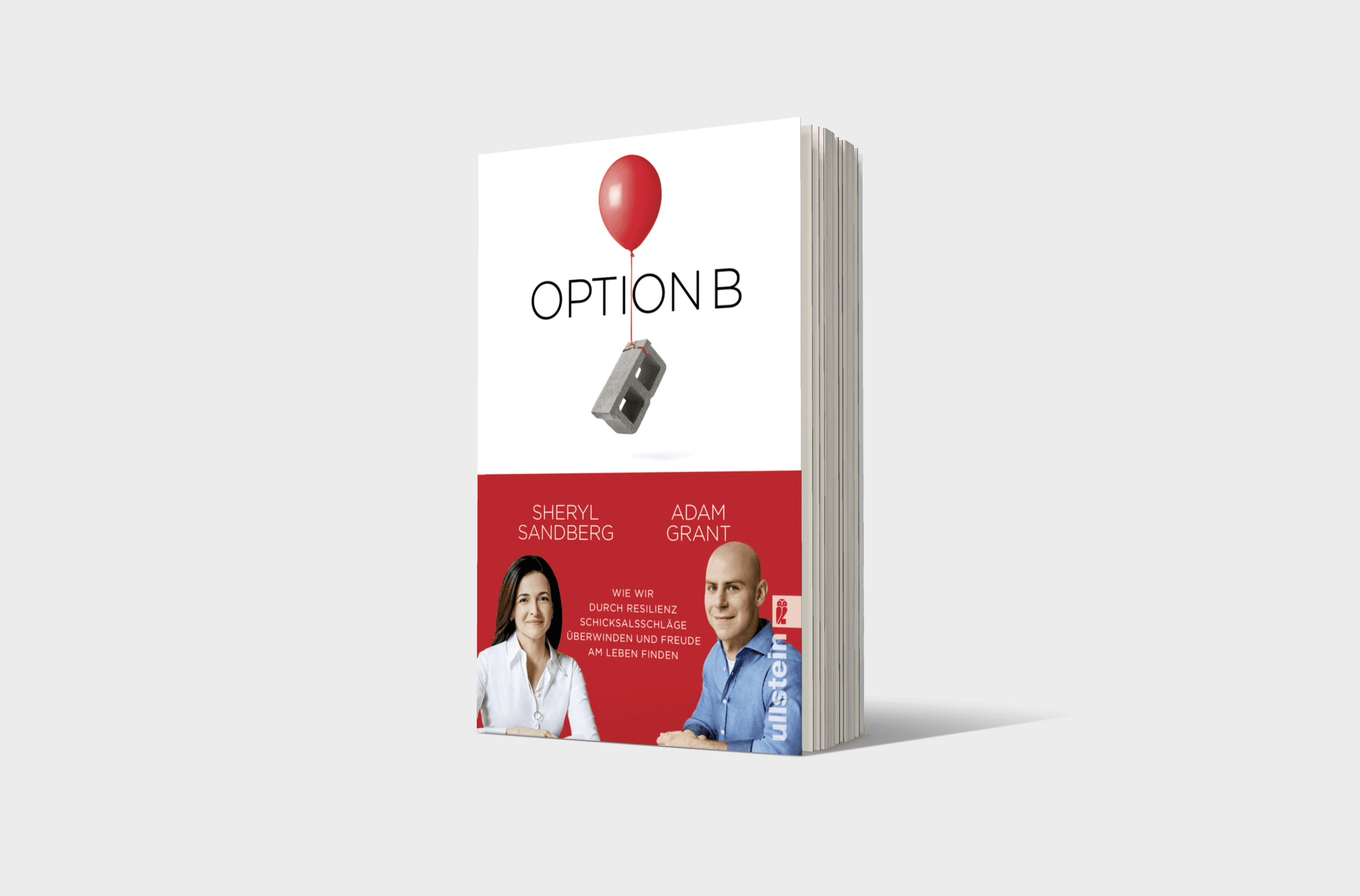 Buchcover von Option B