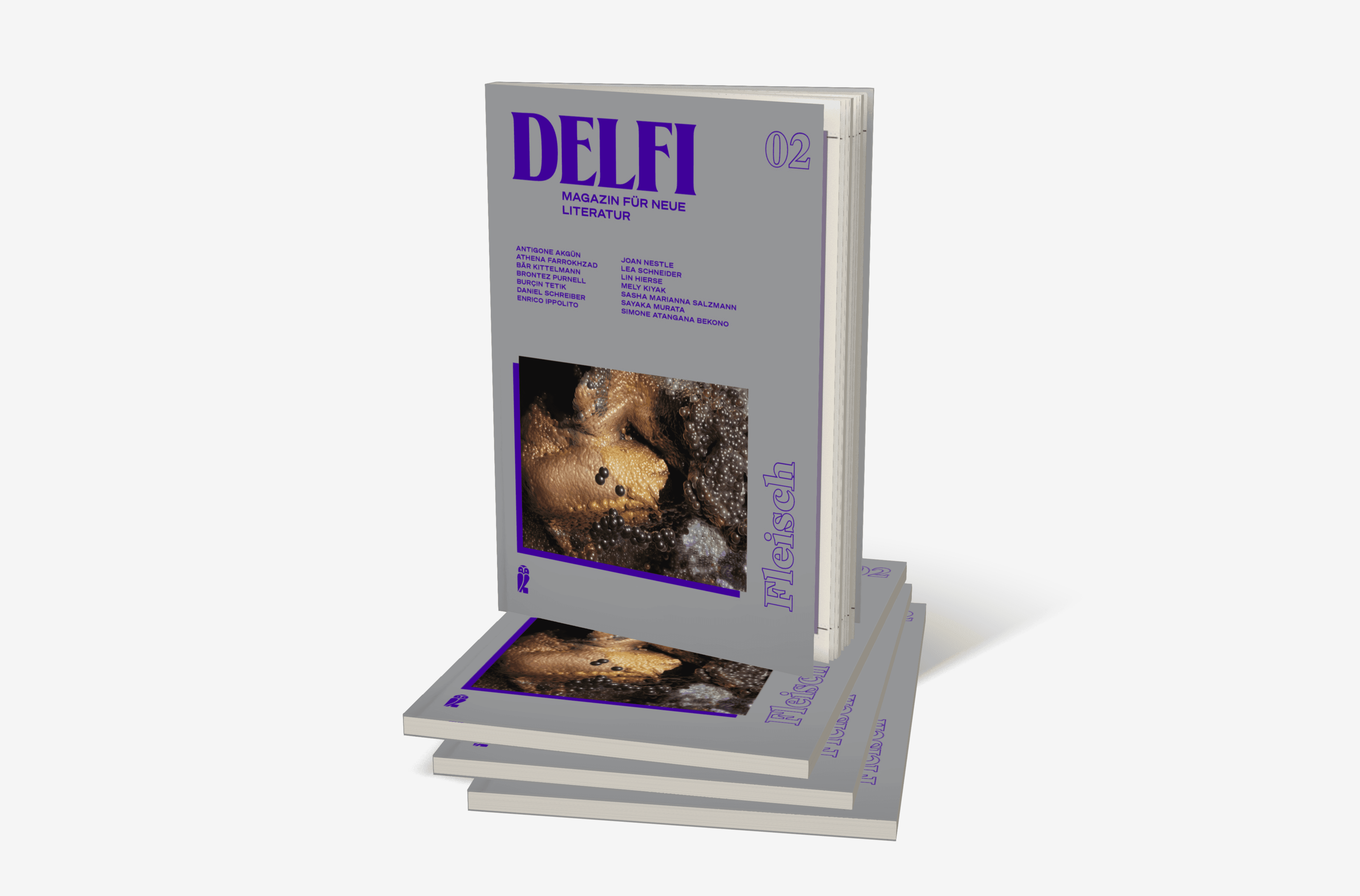 Buchcover von Delfi Fleisch (Delfi 2)