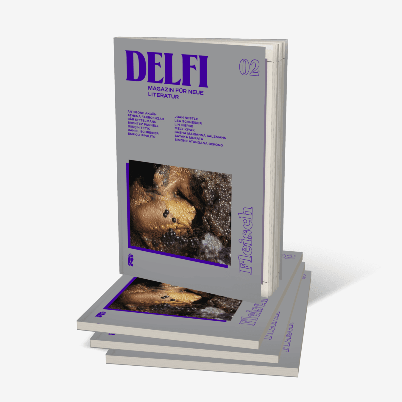 Buchcover von Delfi Fleisch (Delfi 2)