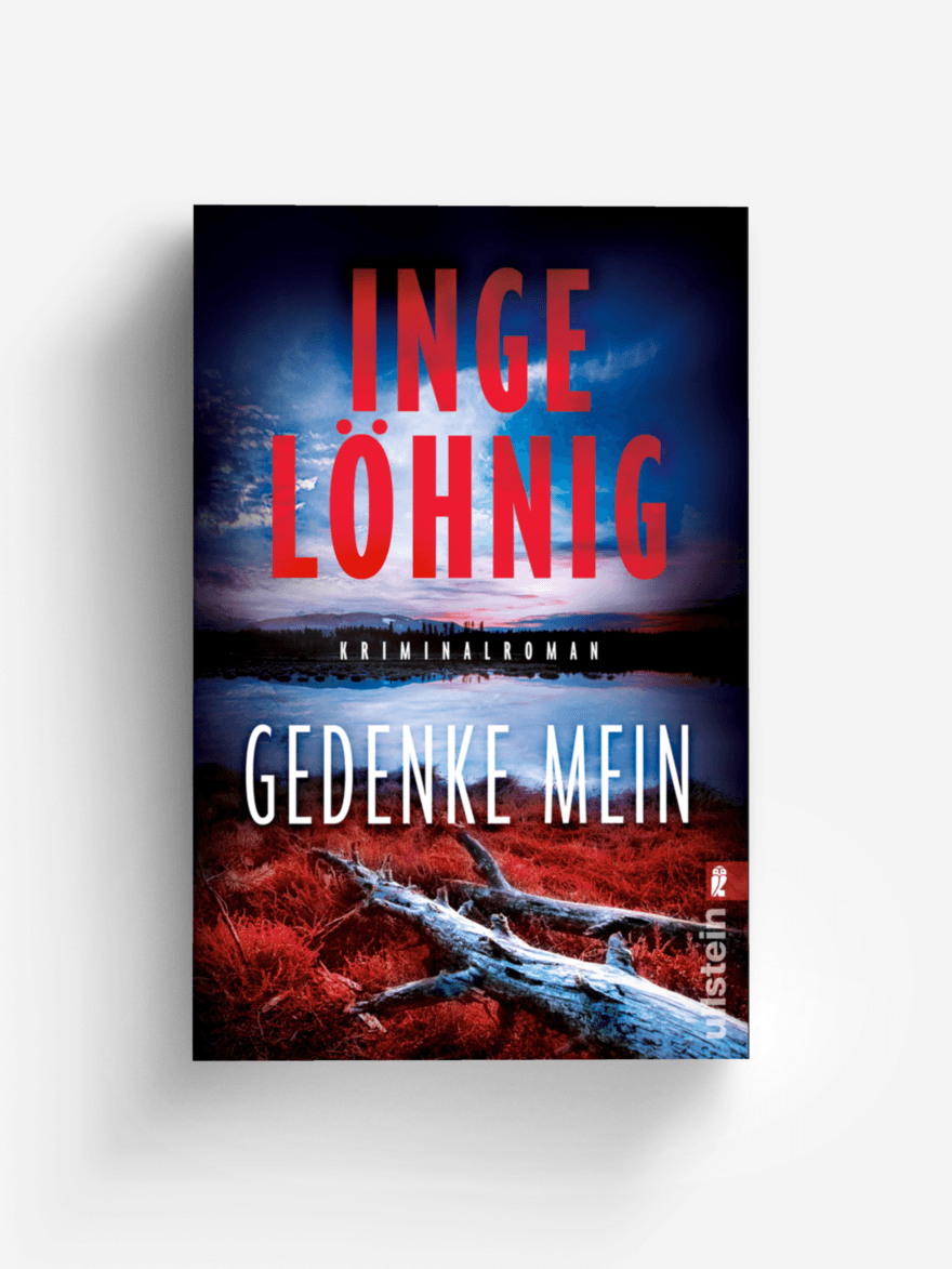 Gedenke mein (Ein Gina-Angelucci-Krimi 1)