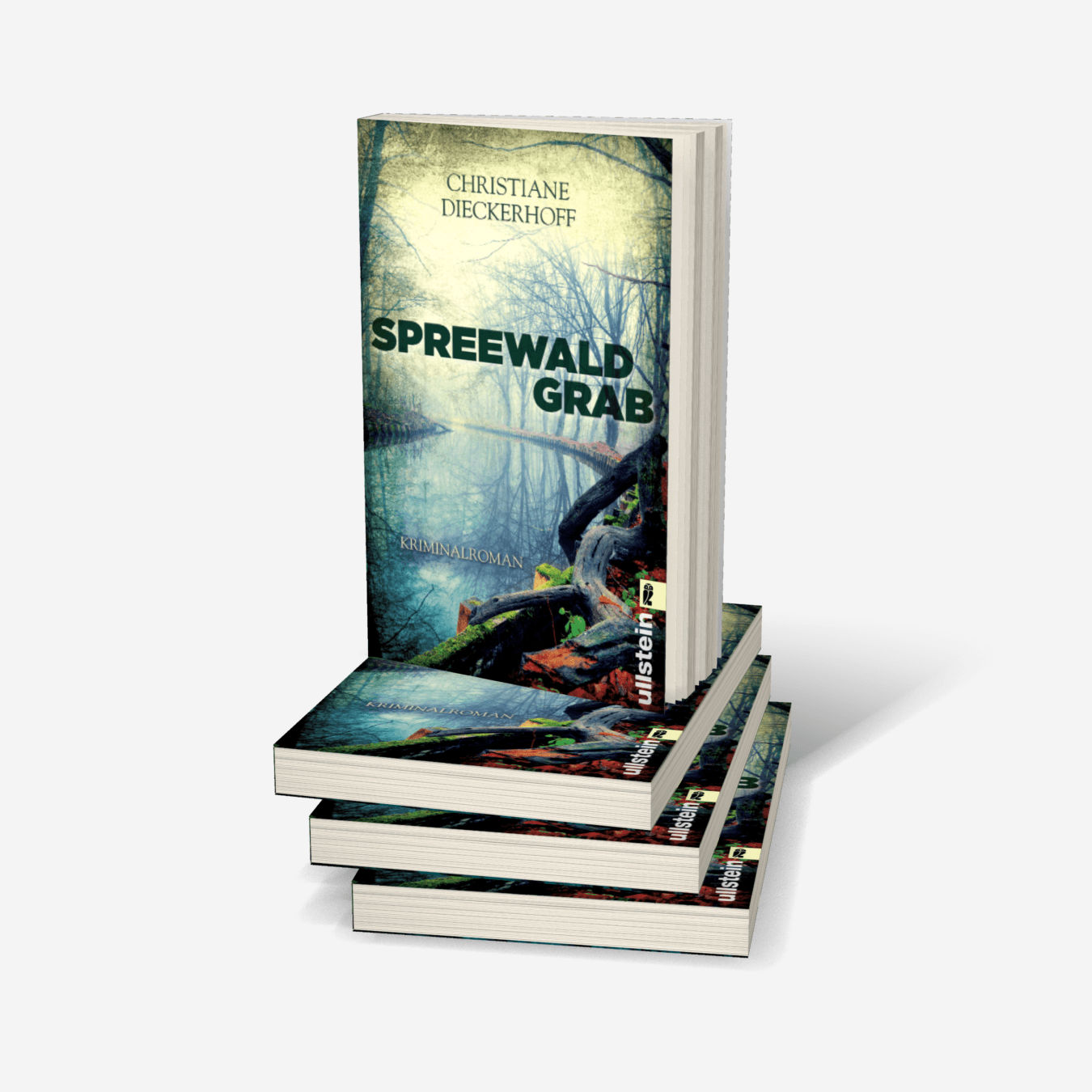 Buchcover von Spreewaldgrab (Ein-Fall-für-Klaudia-Wagner 1)