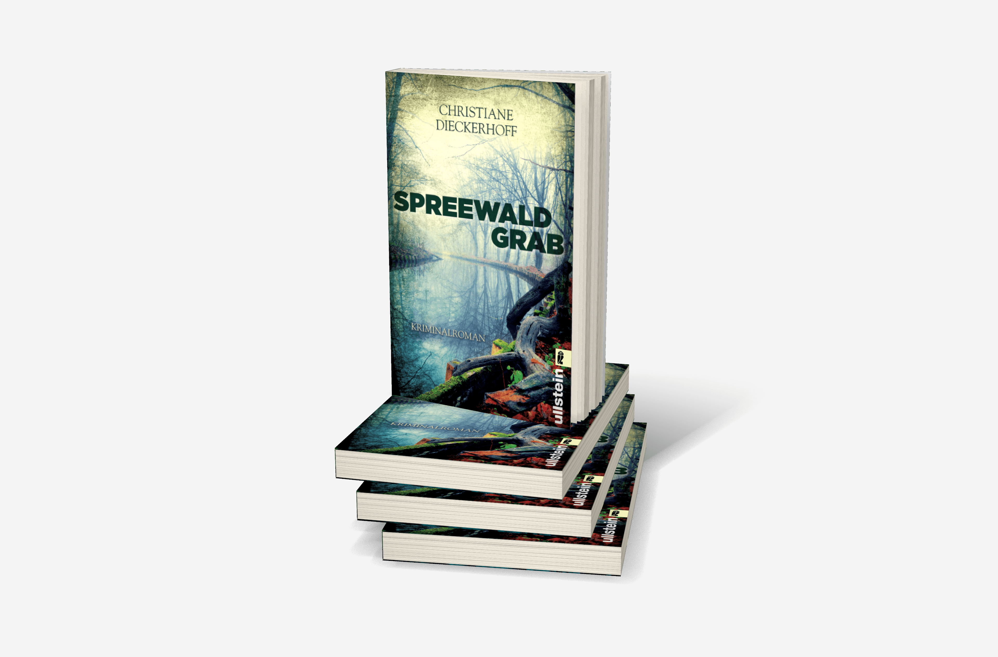 Buchcover von Spreewaldgrab (Ein-Fall-für-Klaudia-Wagner 1)