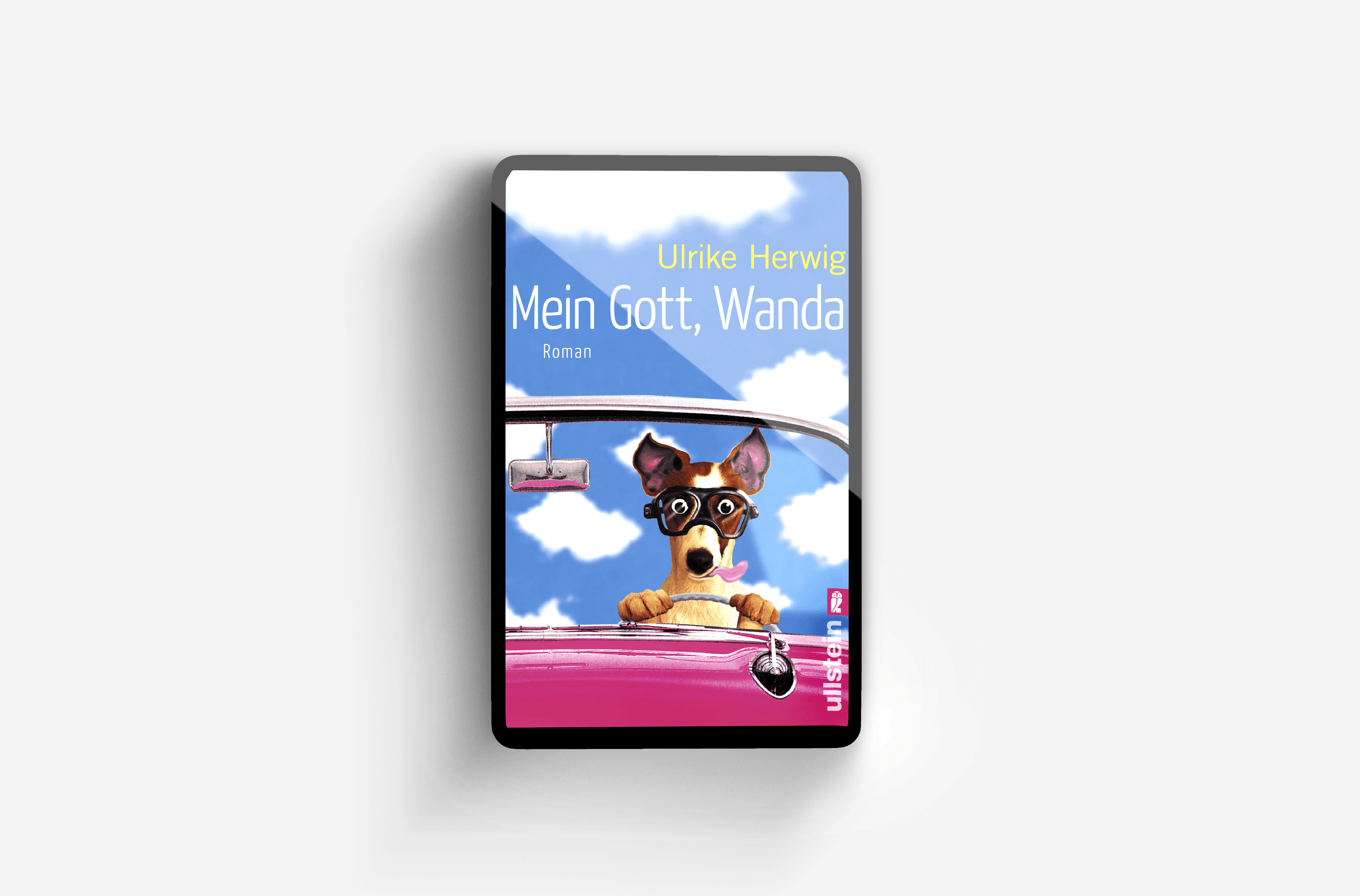 Buchcover von Mein Gott, Wanda