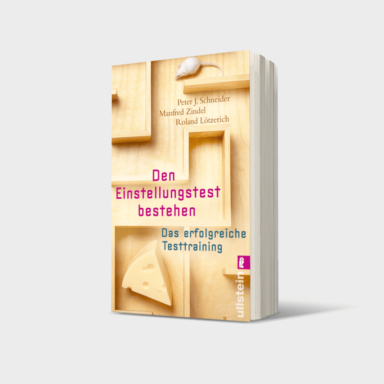 Buchcover von Den Einstellungstest bestehen