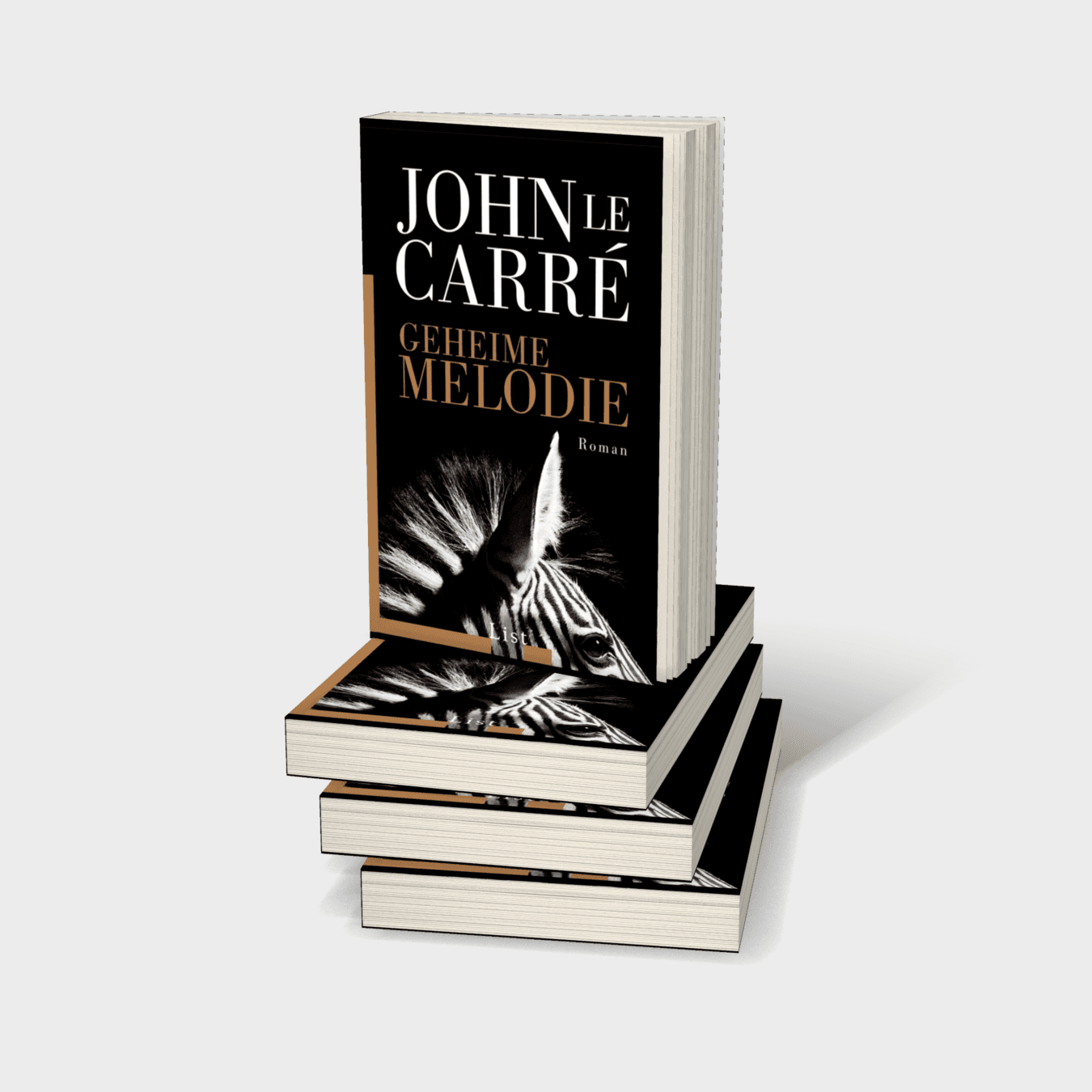 Buchcover von Geheime Melodie