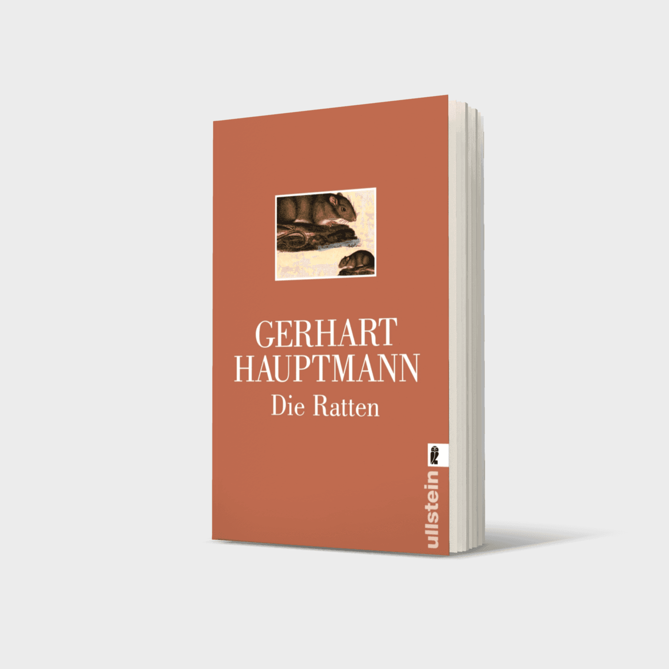 Buchcover von Die Ratten