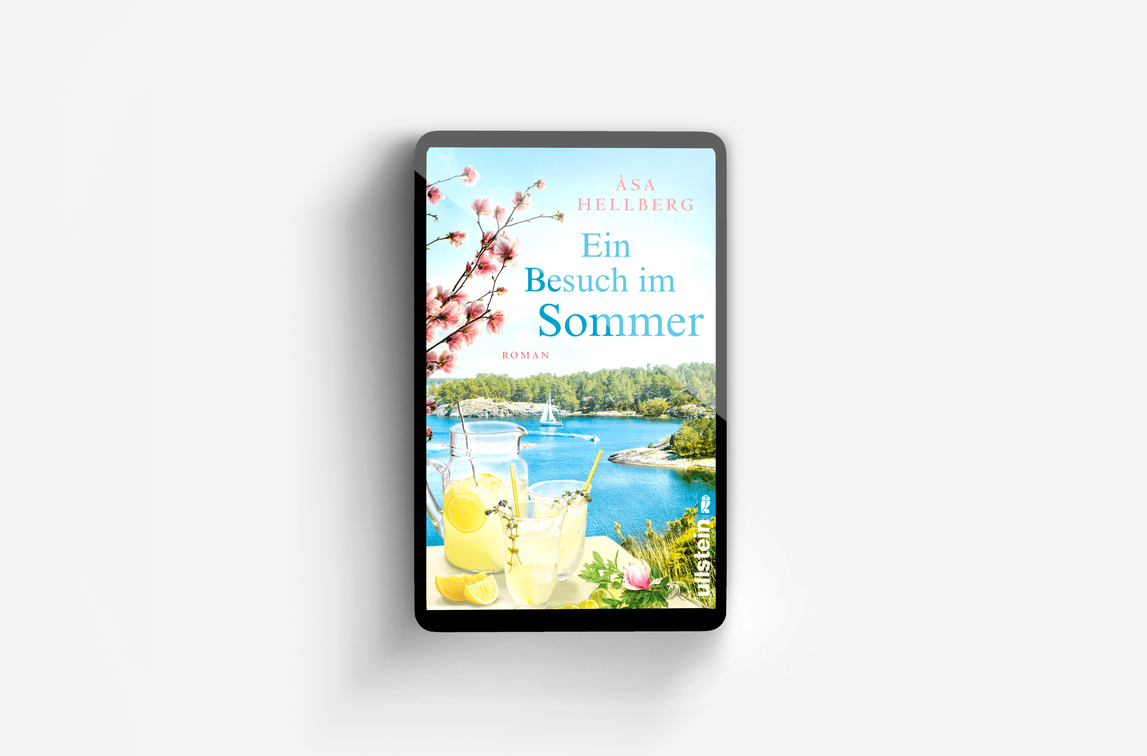 Buchcover von Ein Besuch im Sommer