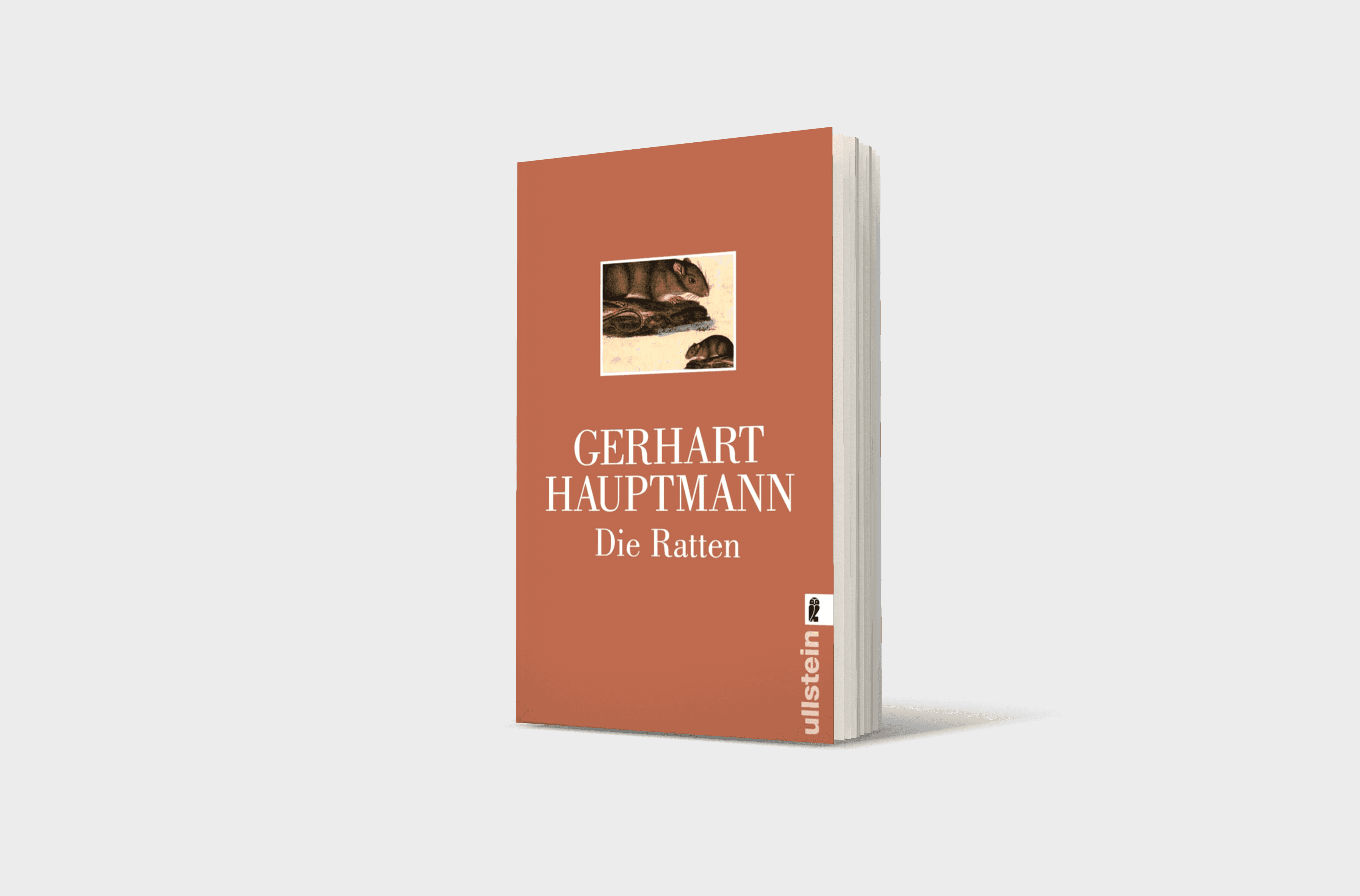 Buchcover von Die Ratten