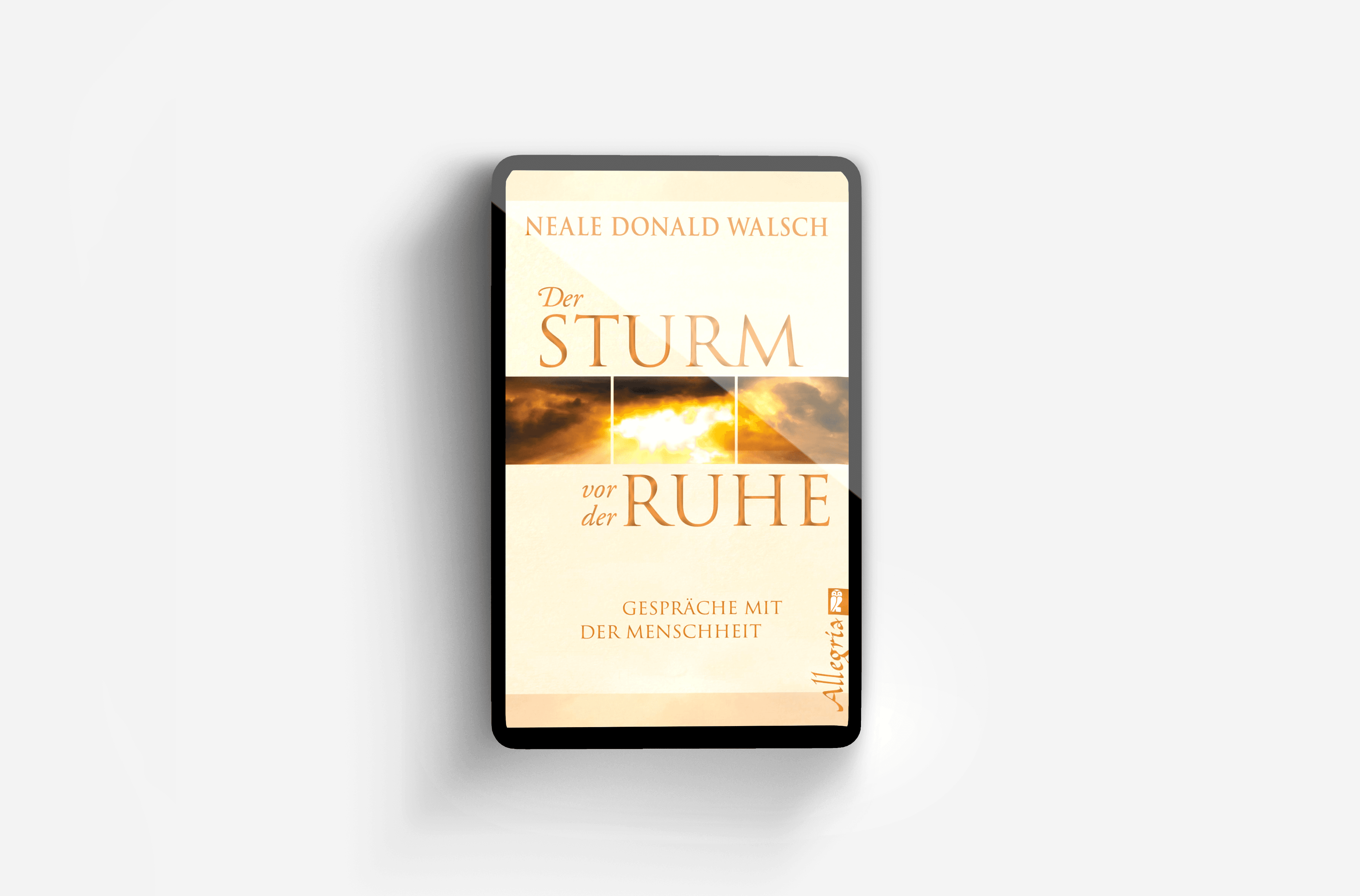 Buchcover von Der Sturm vor der Ruhe