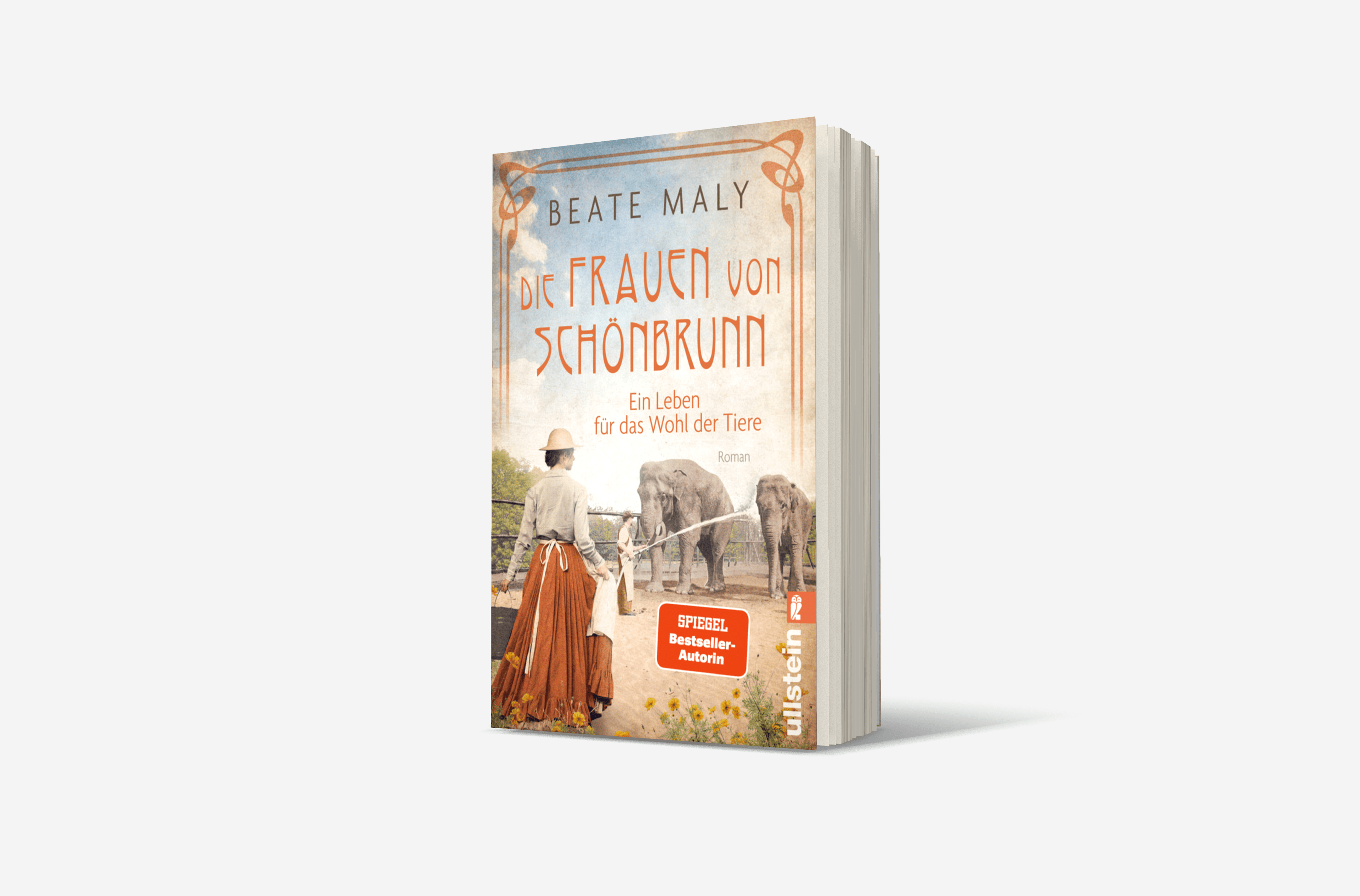 Buchcover von Die Frauen von Schönbrunn (Die Schönbrunn-Saga 1)