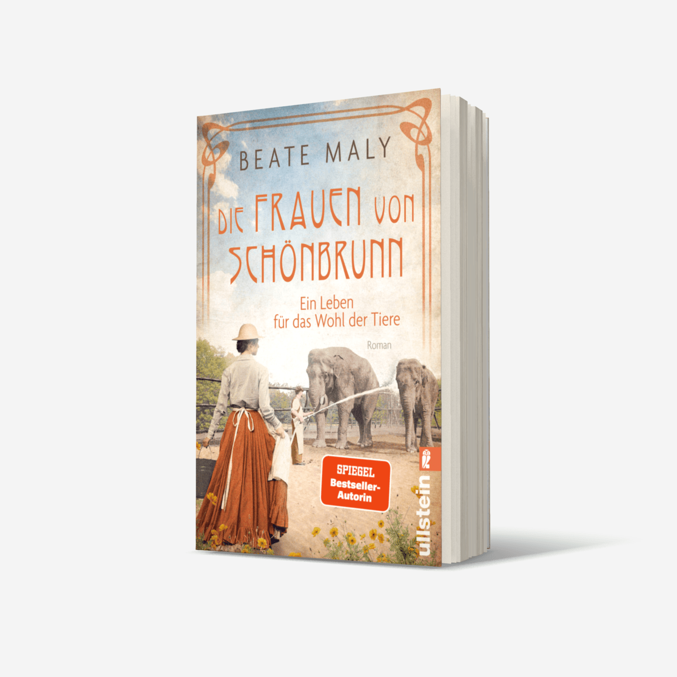 Buchcover von Die Frauen von Schönbrunn (Die Schönbrunn-Saga 1)