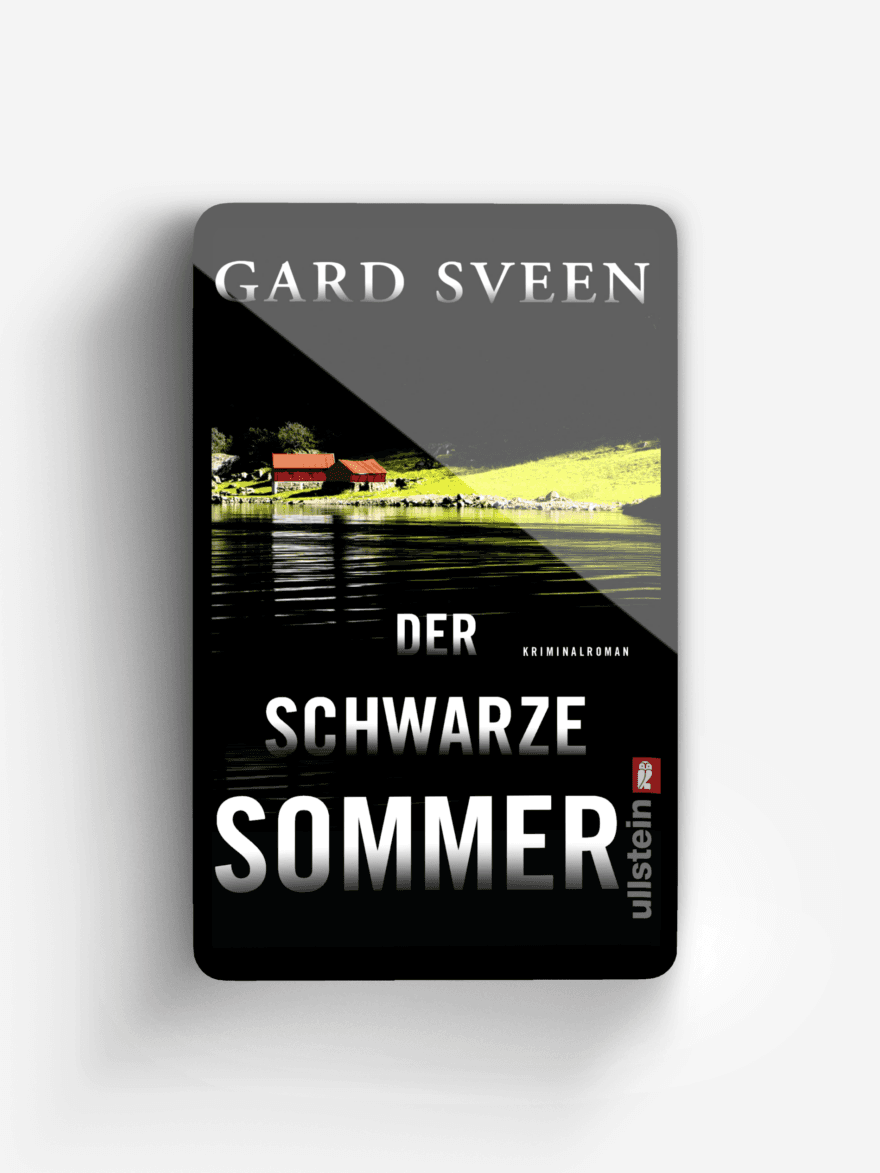 Der schwarze Sommer (Ein Fall für Tommy Bergmann 5)