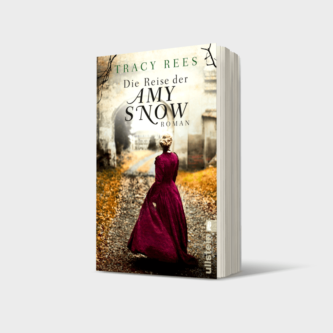 Buchcover von Die Reise der Amy Snow