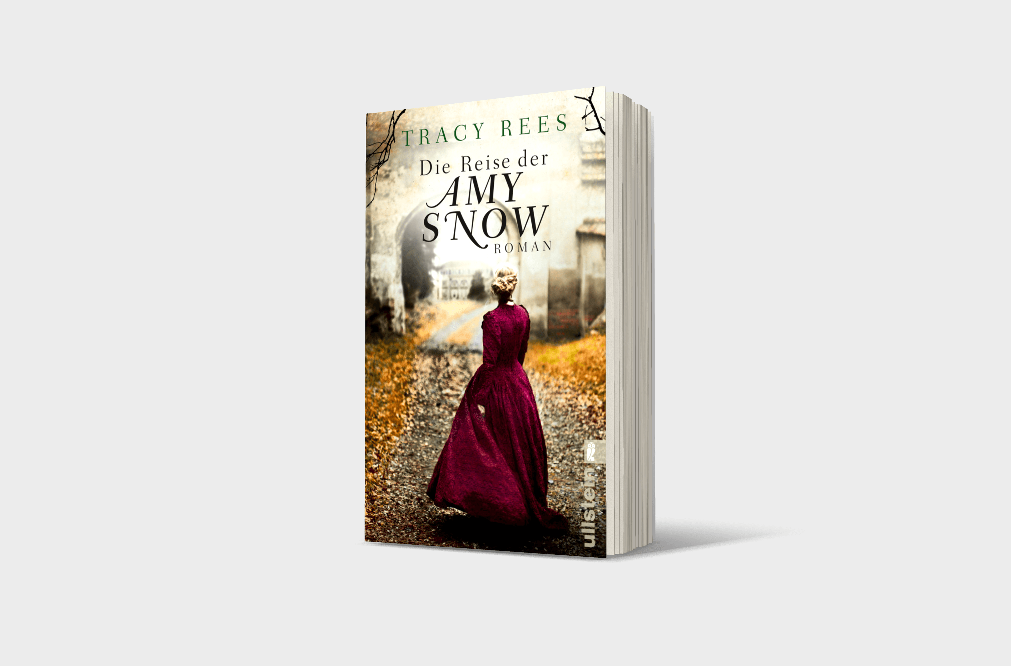 Buchcover von Die Reise der Amy Snow