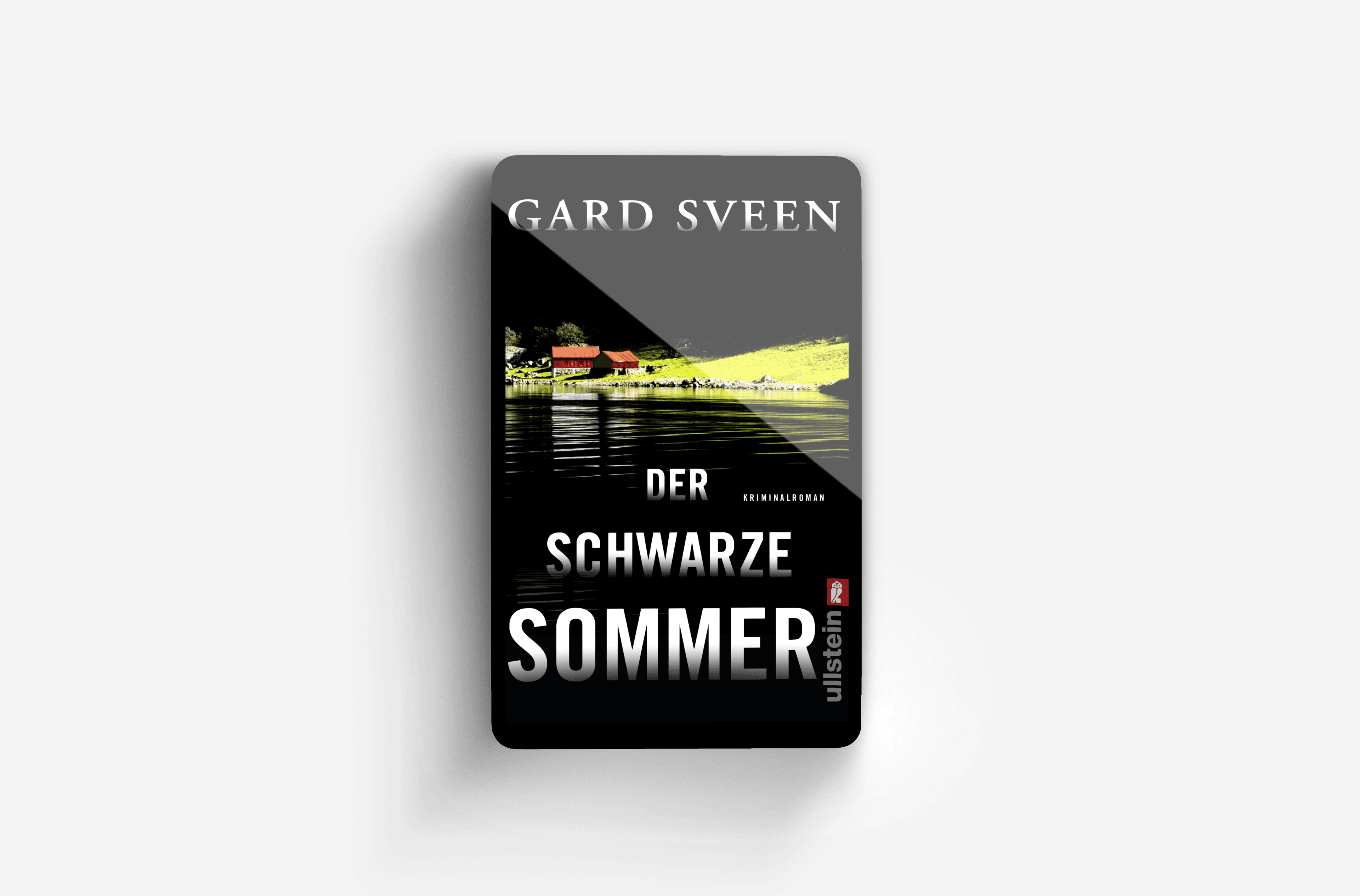 Buchcover von Der schwarze Sommer (Ein Fall für Tommy Bergmann 5)