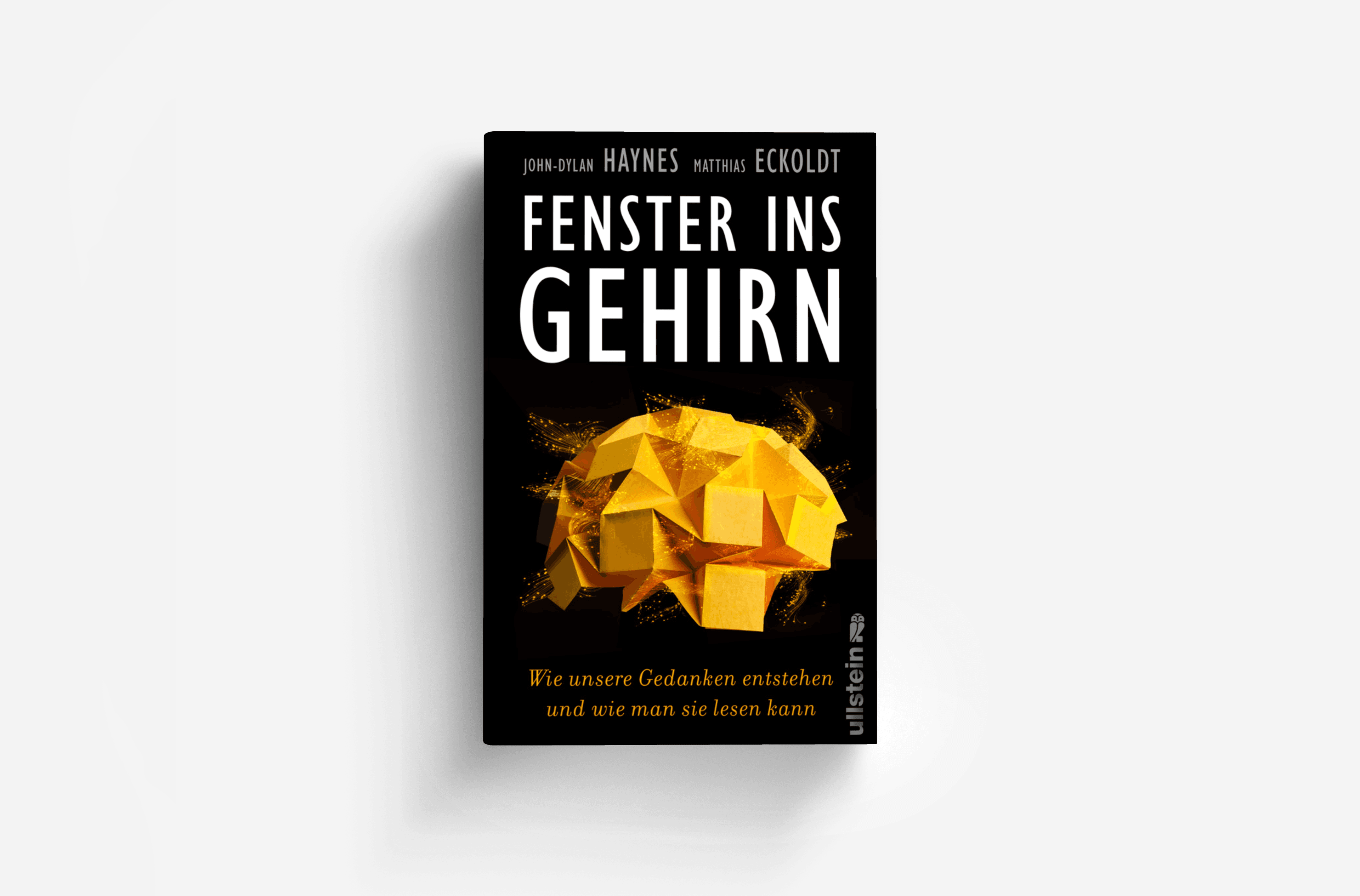 Buchcover von Fenster ins Gehirn