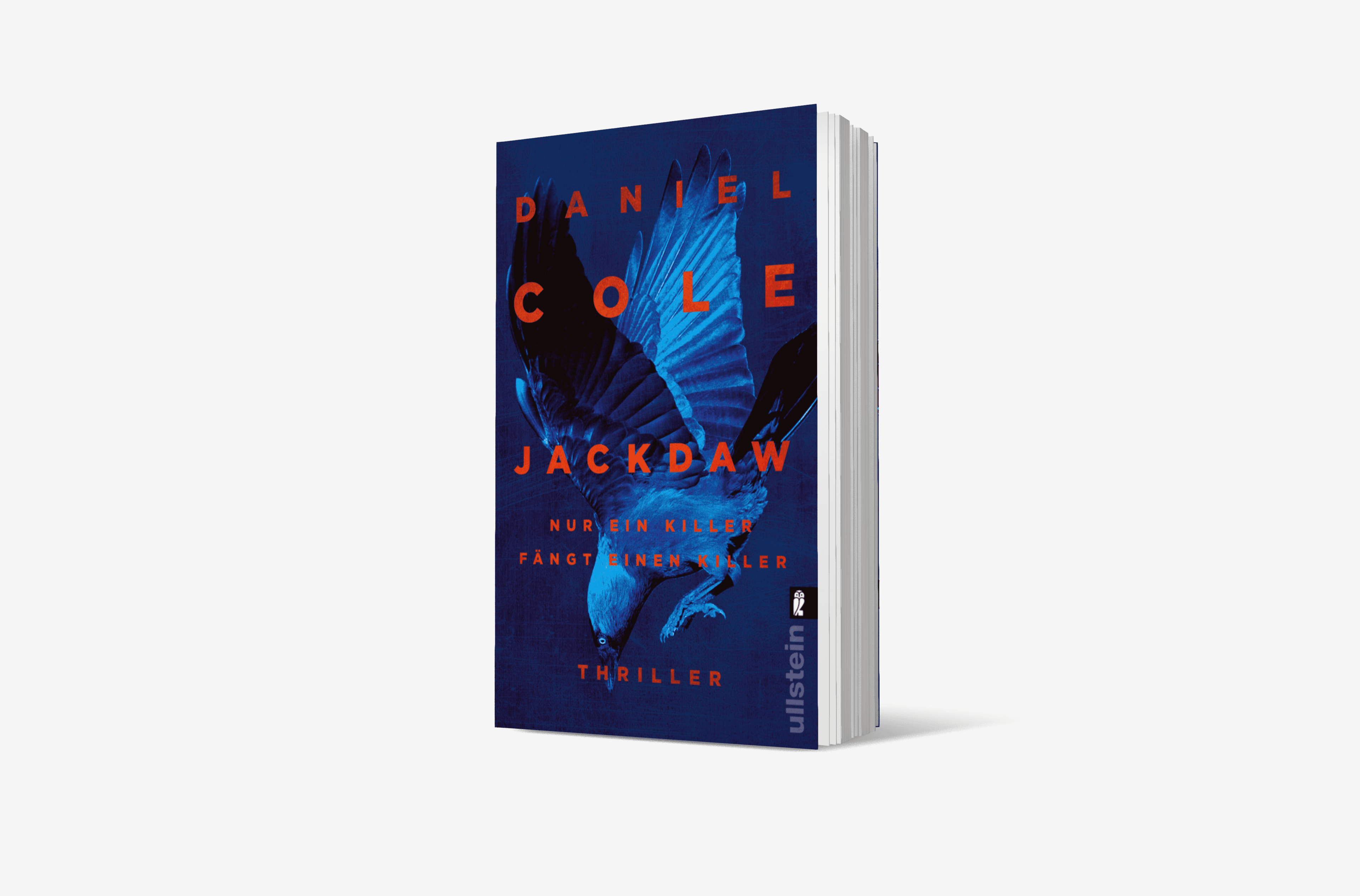 Buchcover von Jackdaw