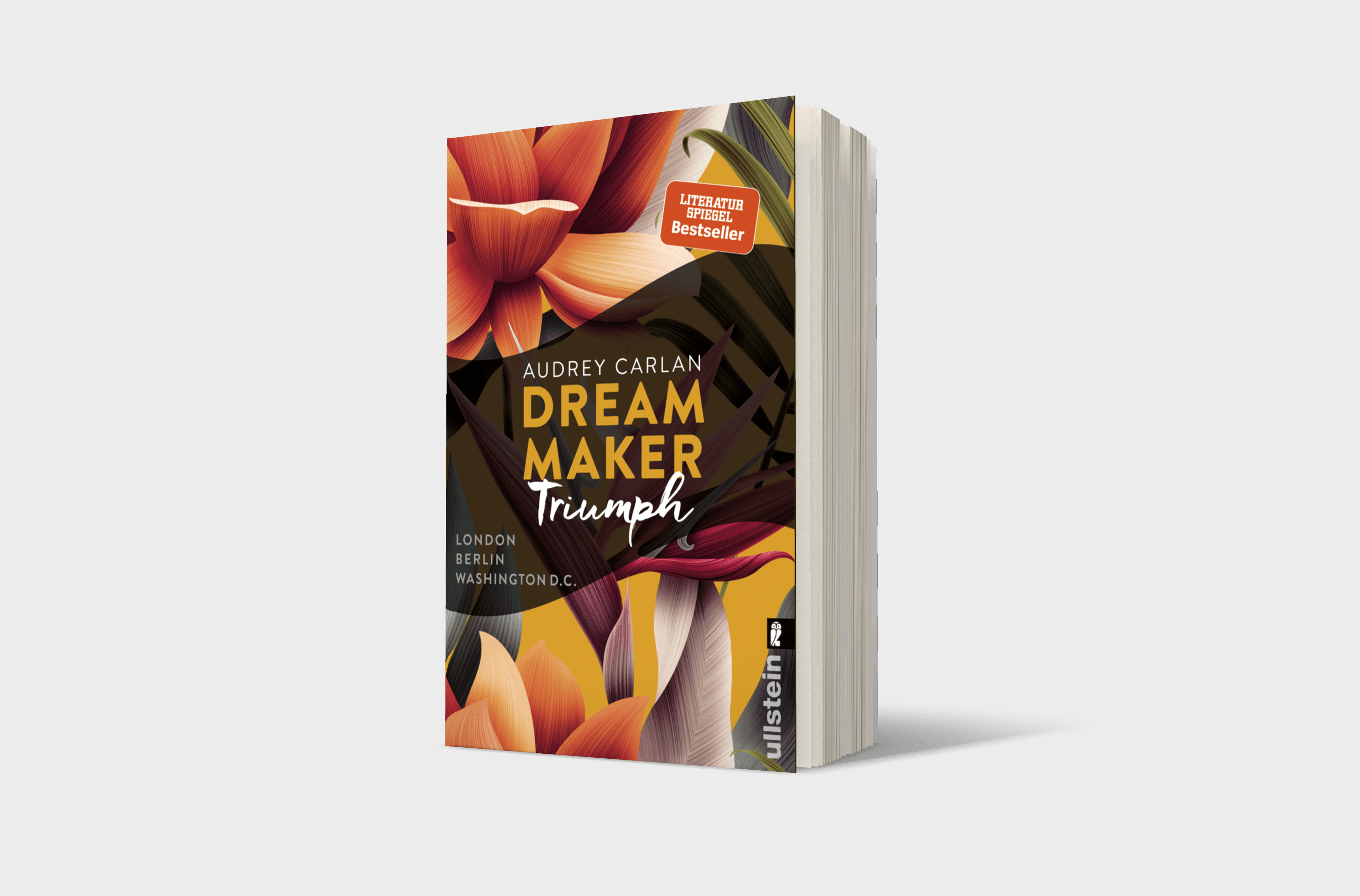 Buchcover von Dream Maker - Triumph (The Dream Maker 3)