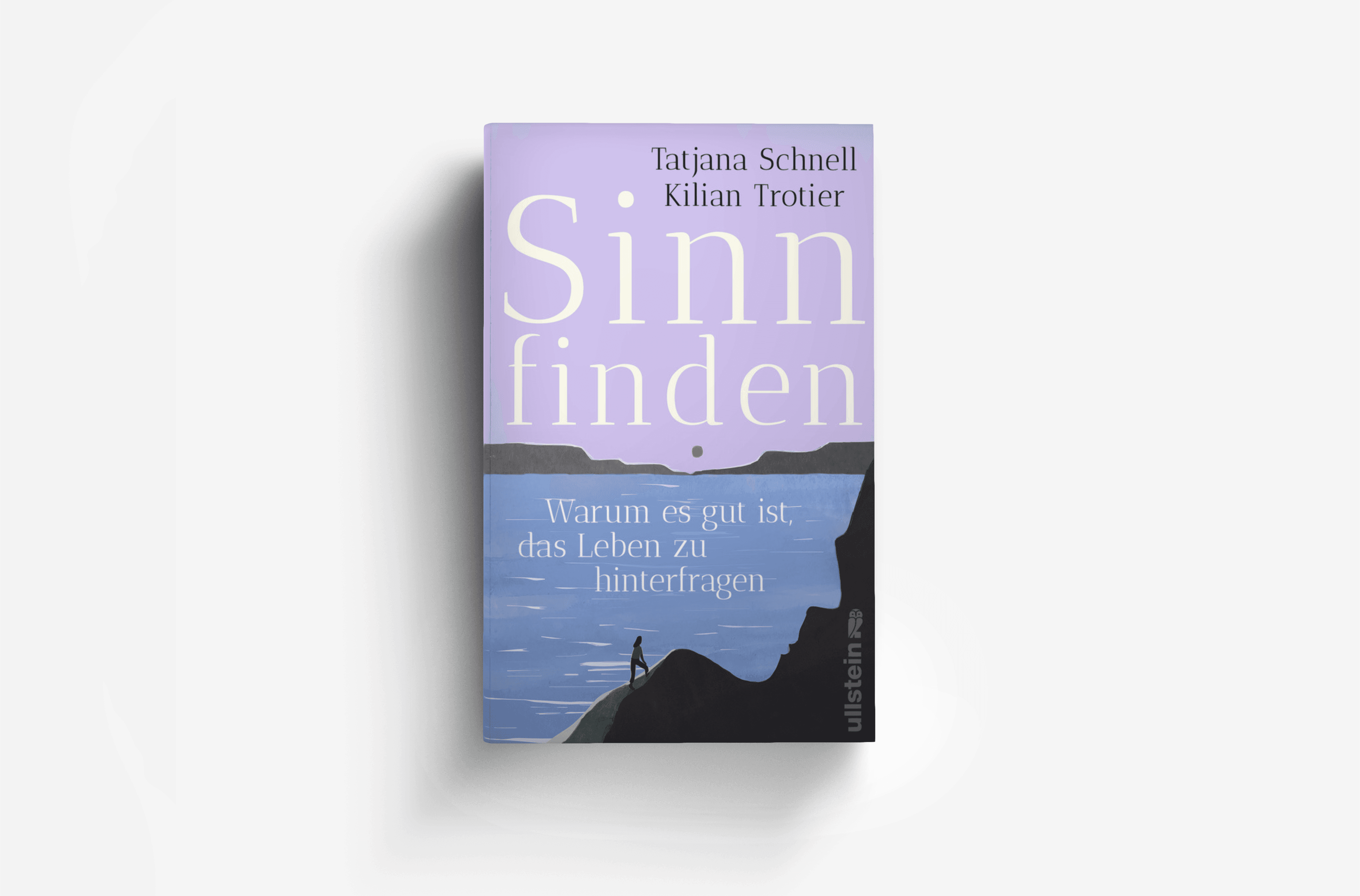 Buchcover von Sinn finden