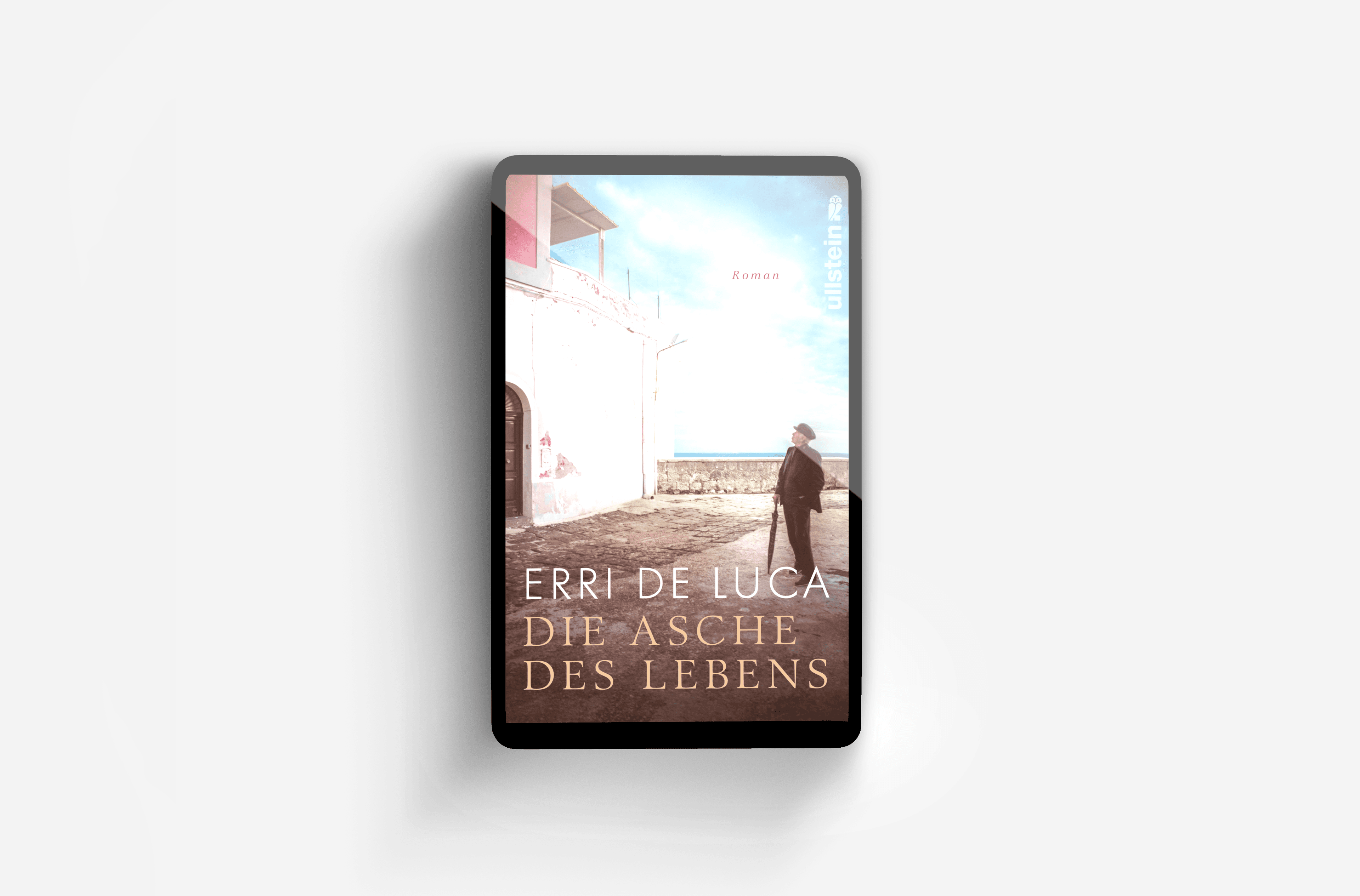 Buchcover von Die Asche des Lebens