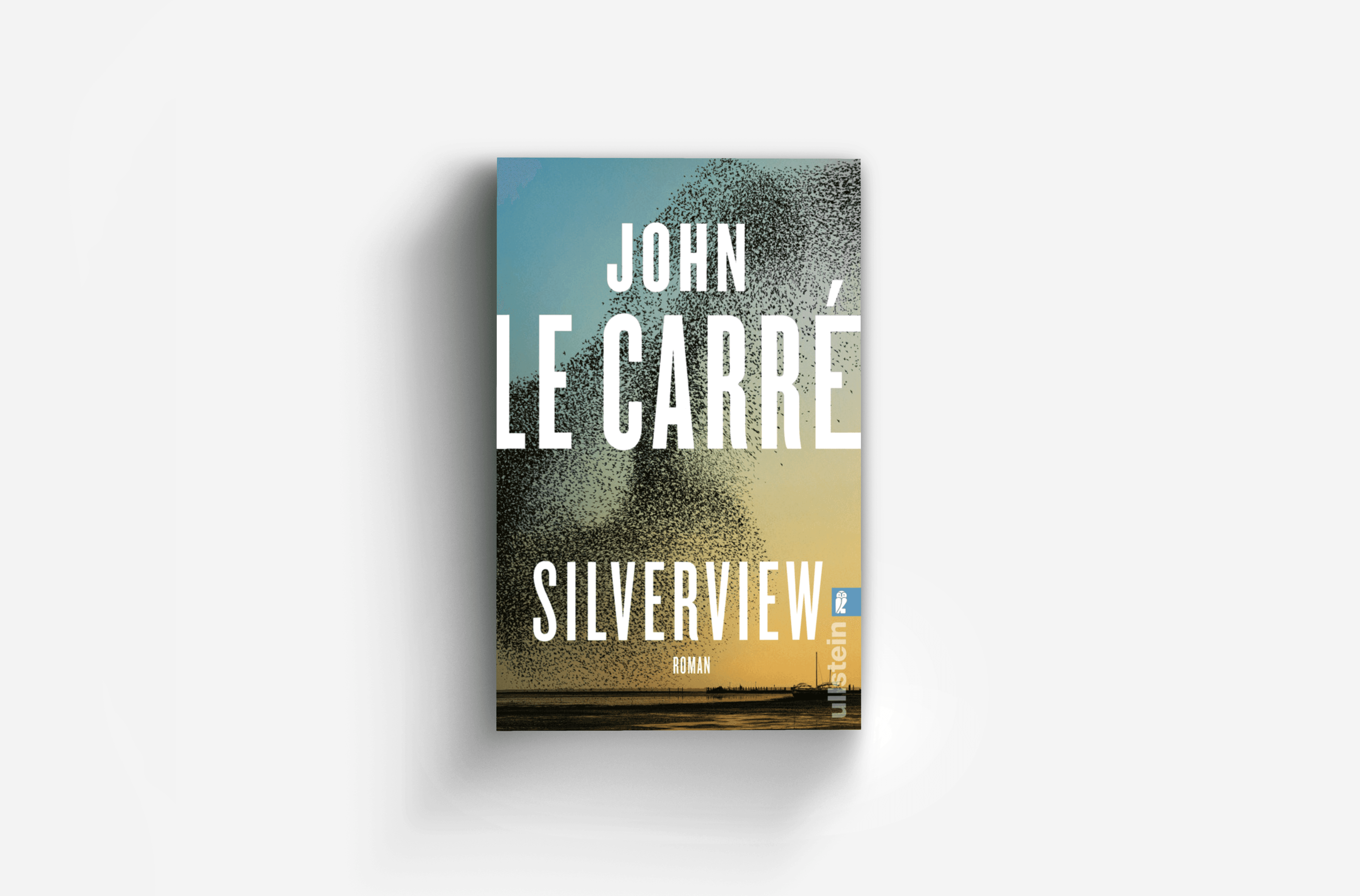 Buchcover von Silverview