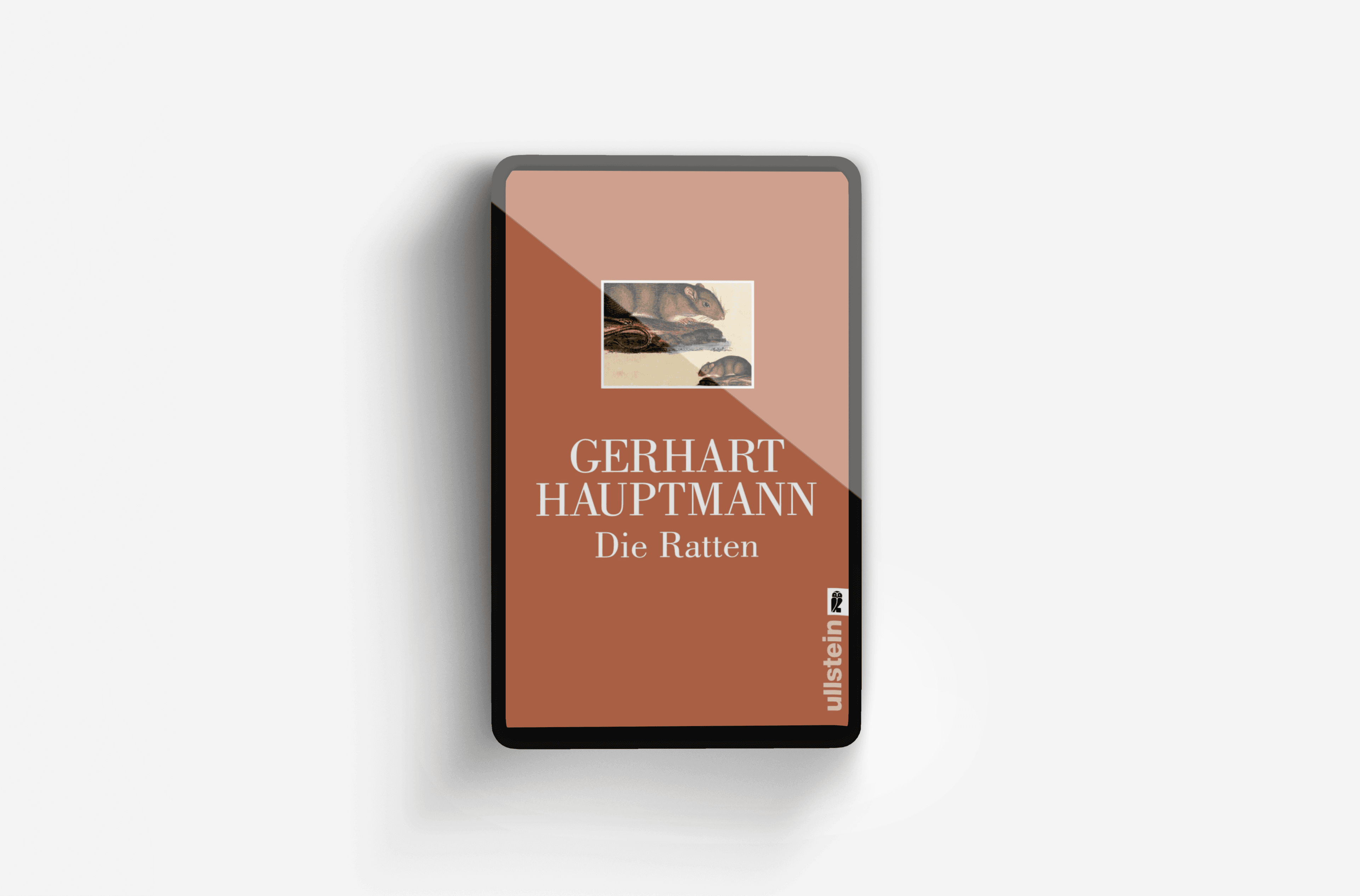 Buchcover von Die Ratten