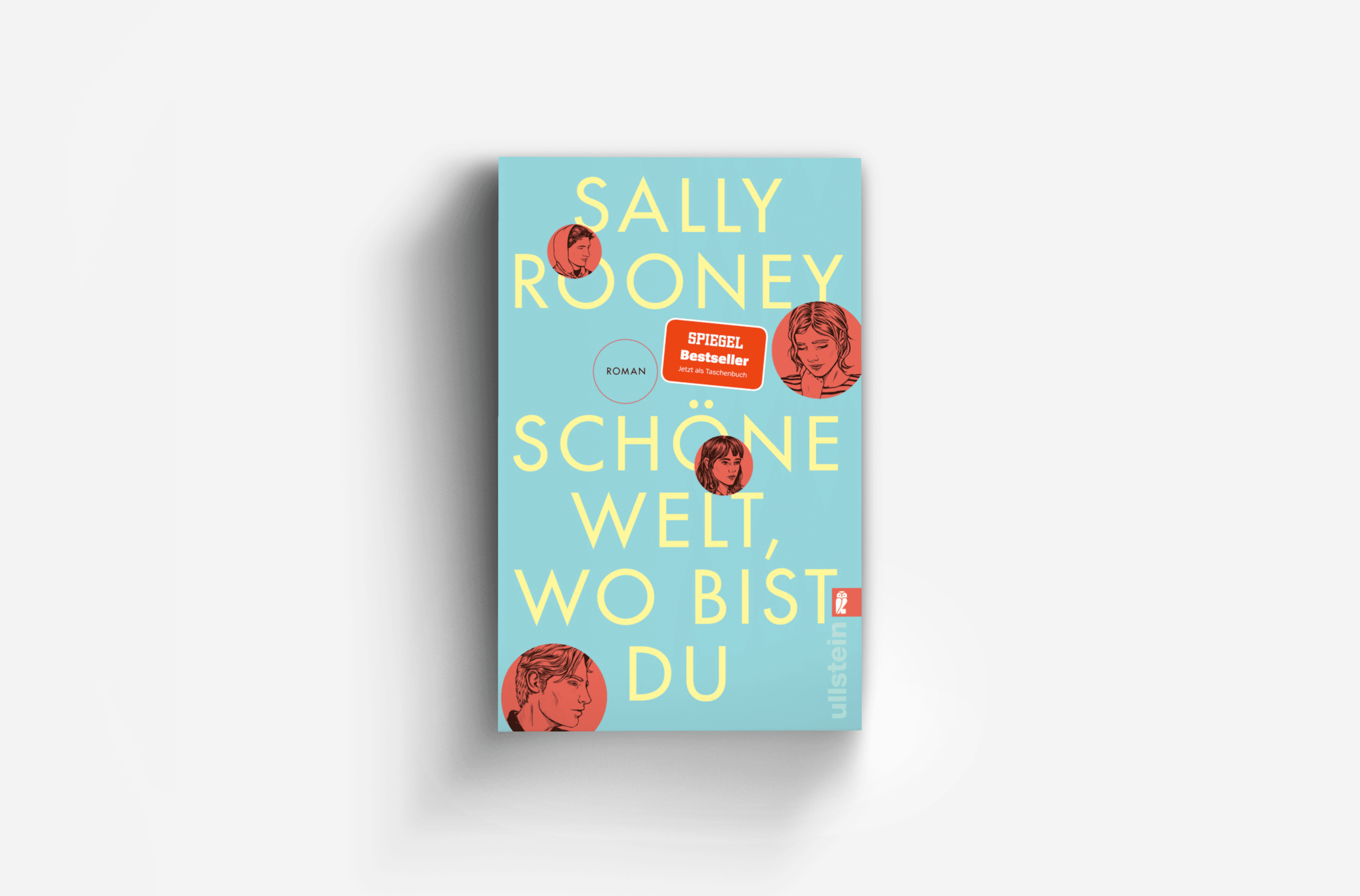 Buchcover von Schöne Welt, wo bist du