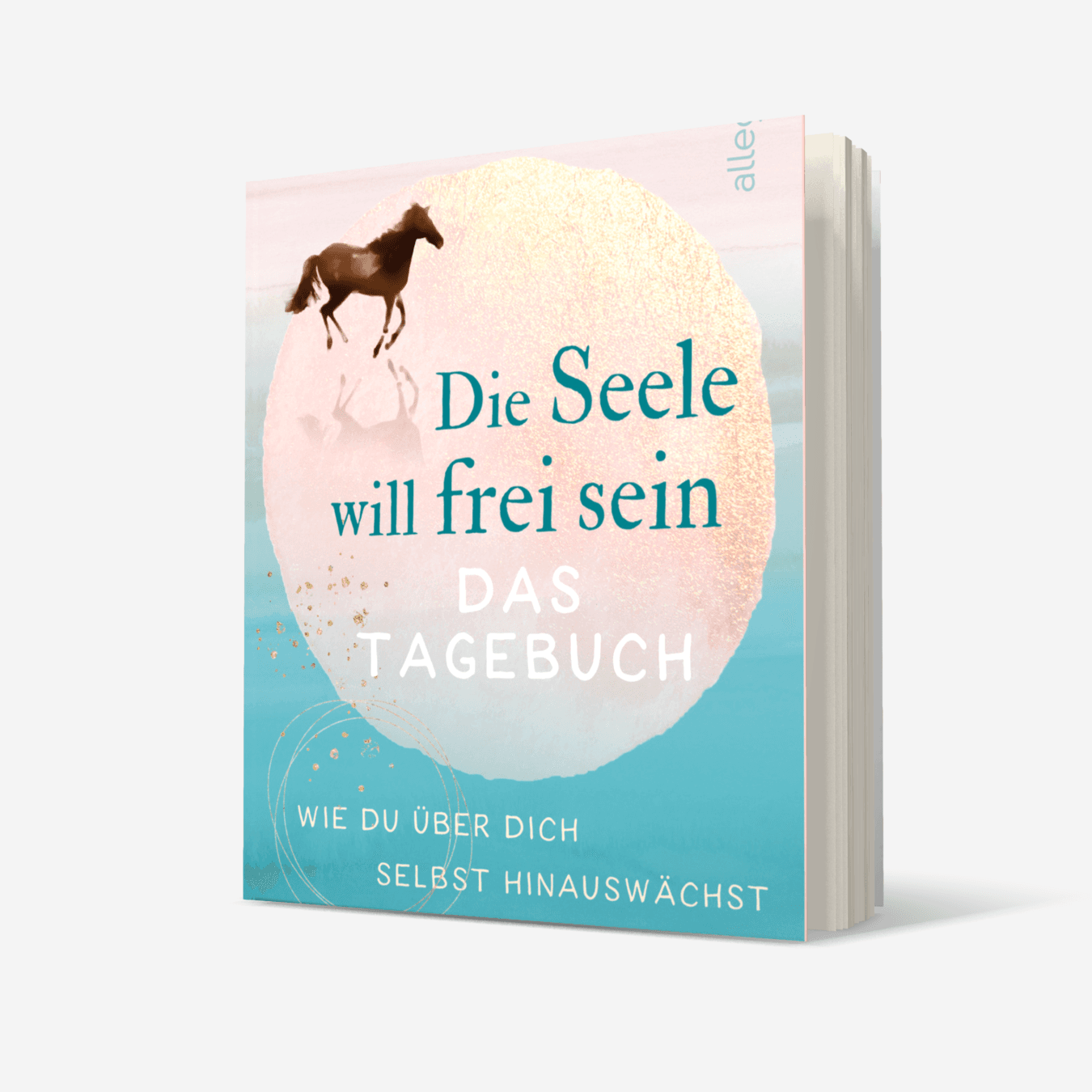 Buchcover von Die Seele will frei sein – Das Tagebuch