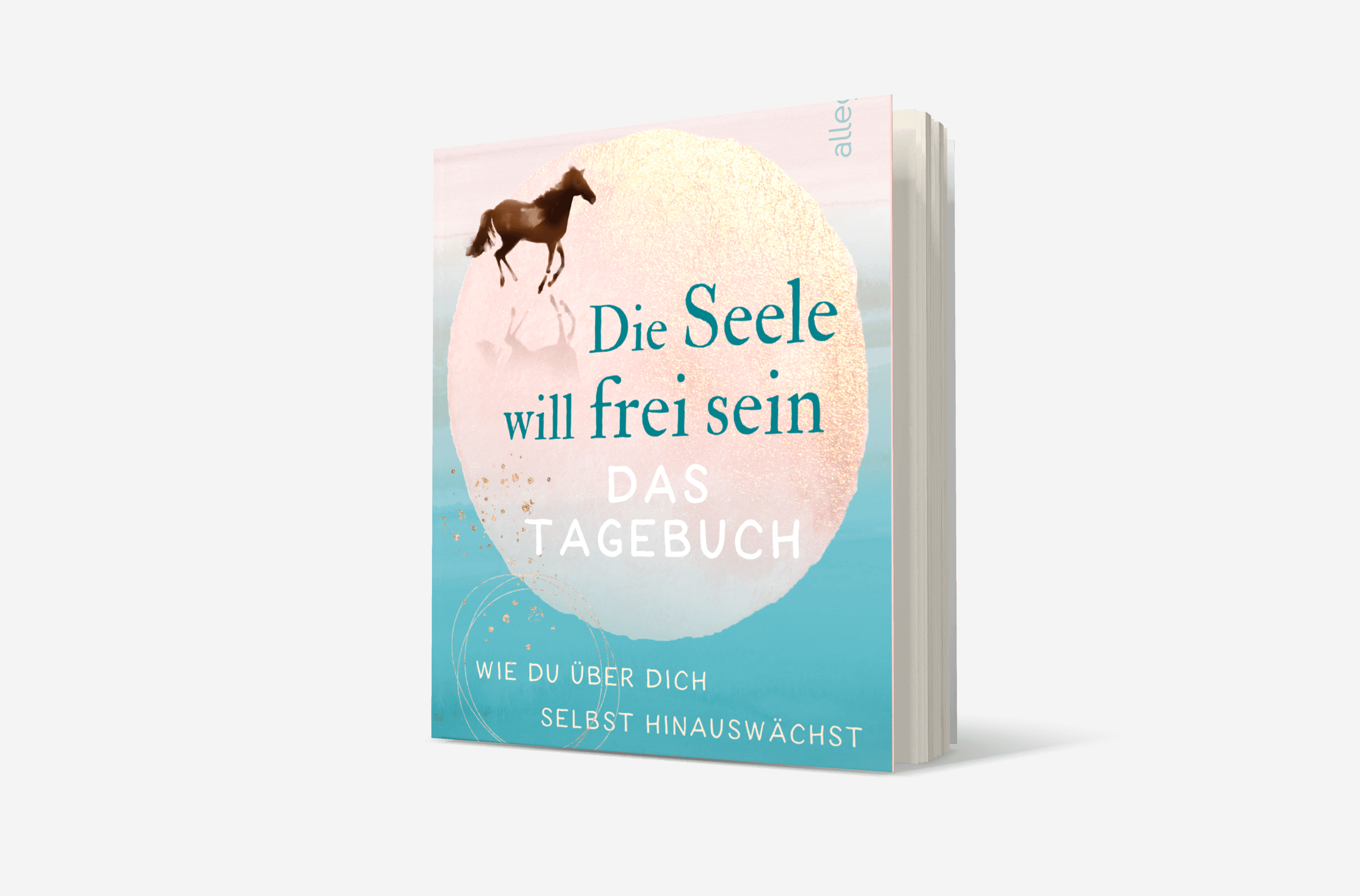 Buchcover von Die Seele will frei sein – Das Tagebuch