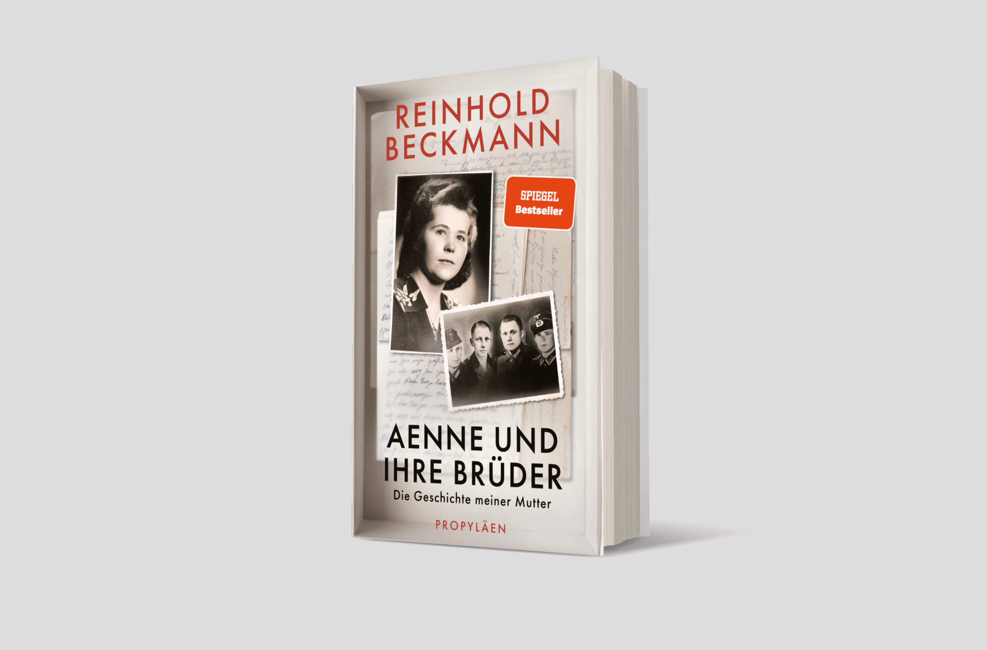 Buchcover von Aenne und ihre Brüder