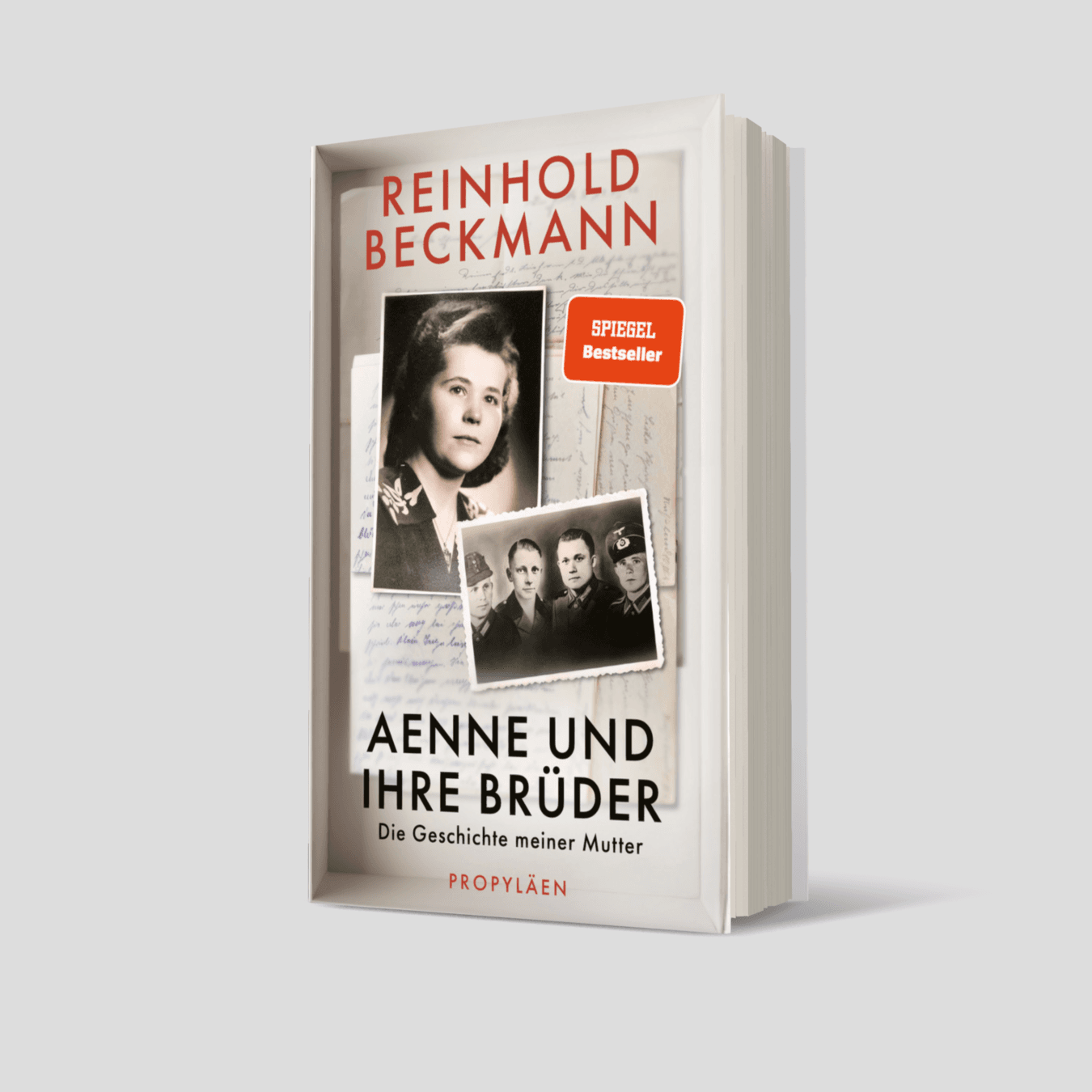 Buchcover von Aenne und ihre Brüder