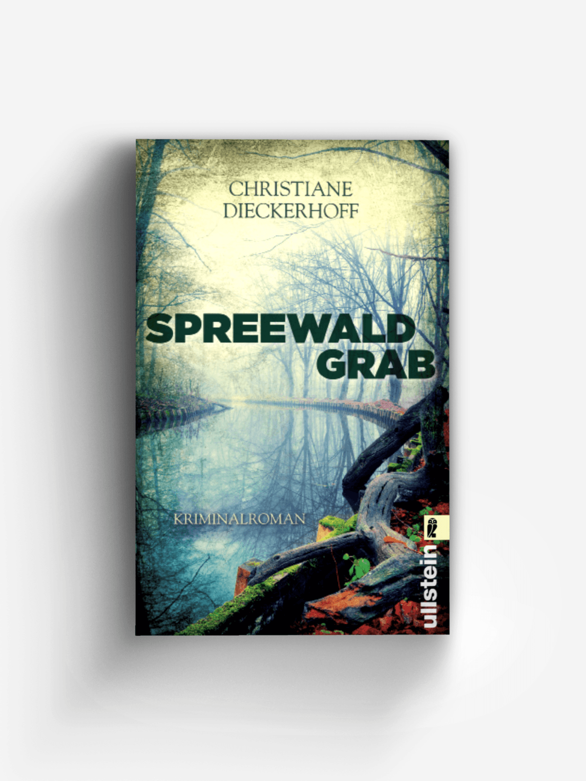 Spreewaldgrab (Ein-Fall-für-Klaudia-Wagner 1)