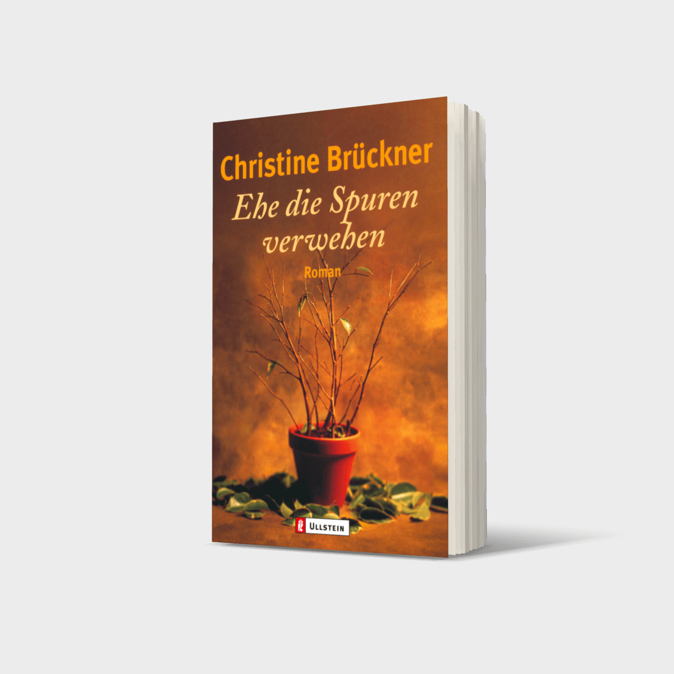 Buchcover von Ehe die Spuren verwehen