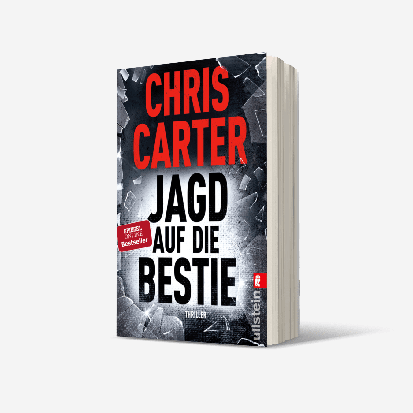 Buchcover von Jagd auf die Bestie (Ein Hunter-und-Garcia-Thriller 10)