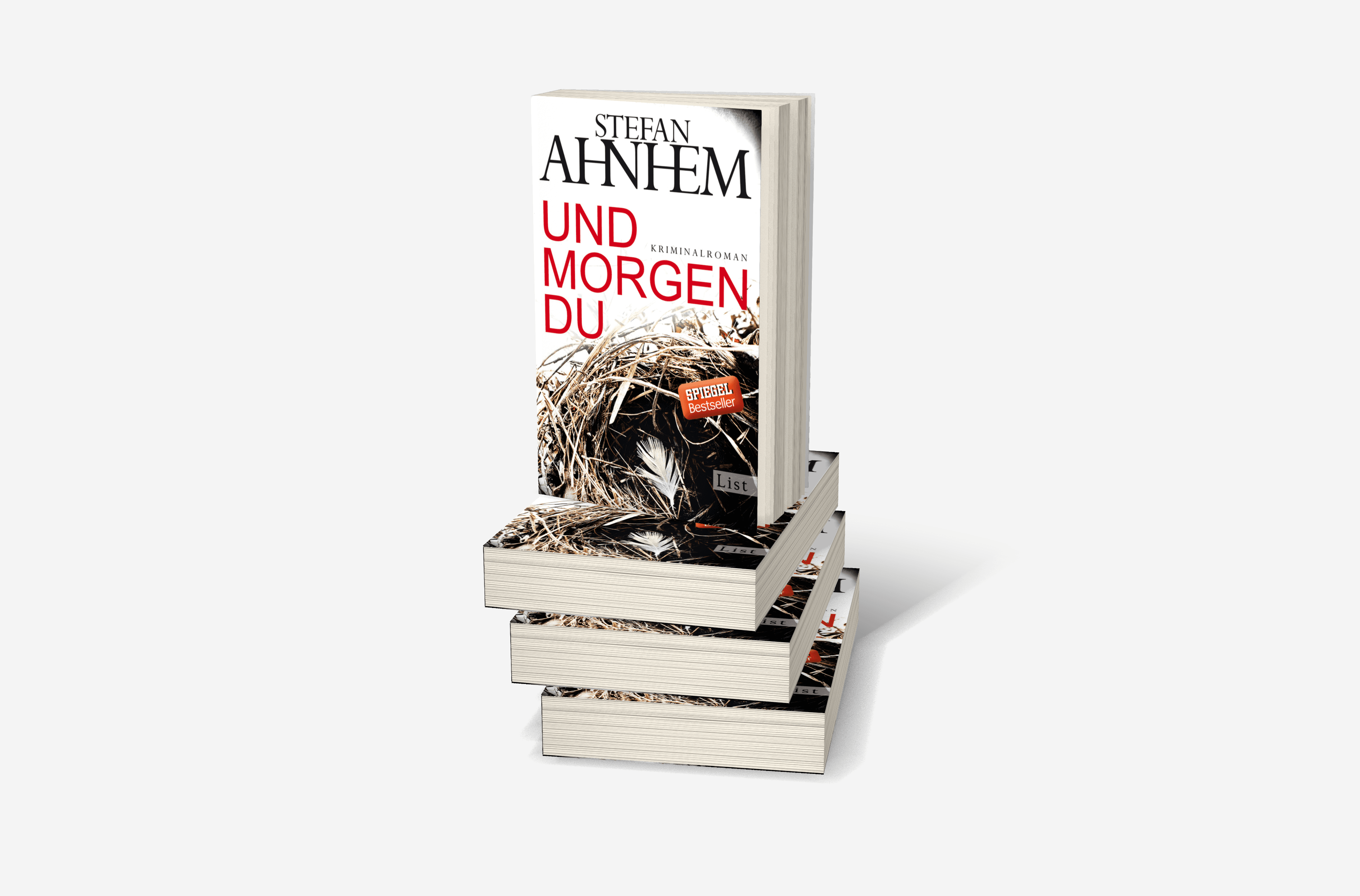 Buchcover von Und morgen du (Ein Fabian-Risk-Krimi 1)